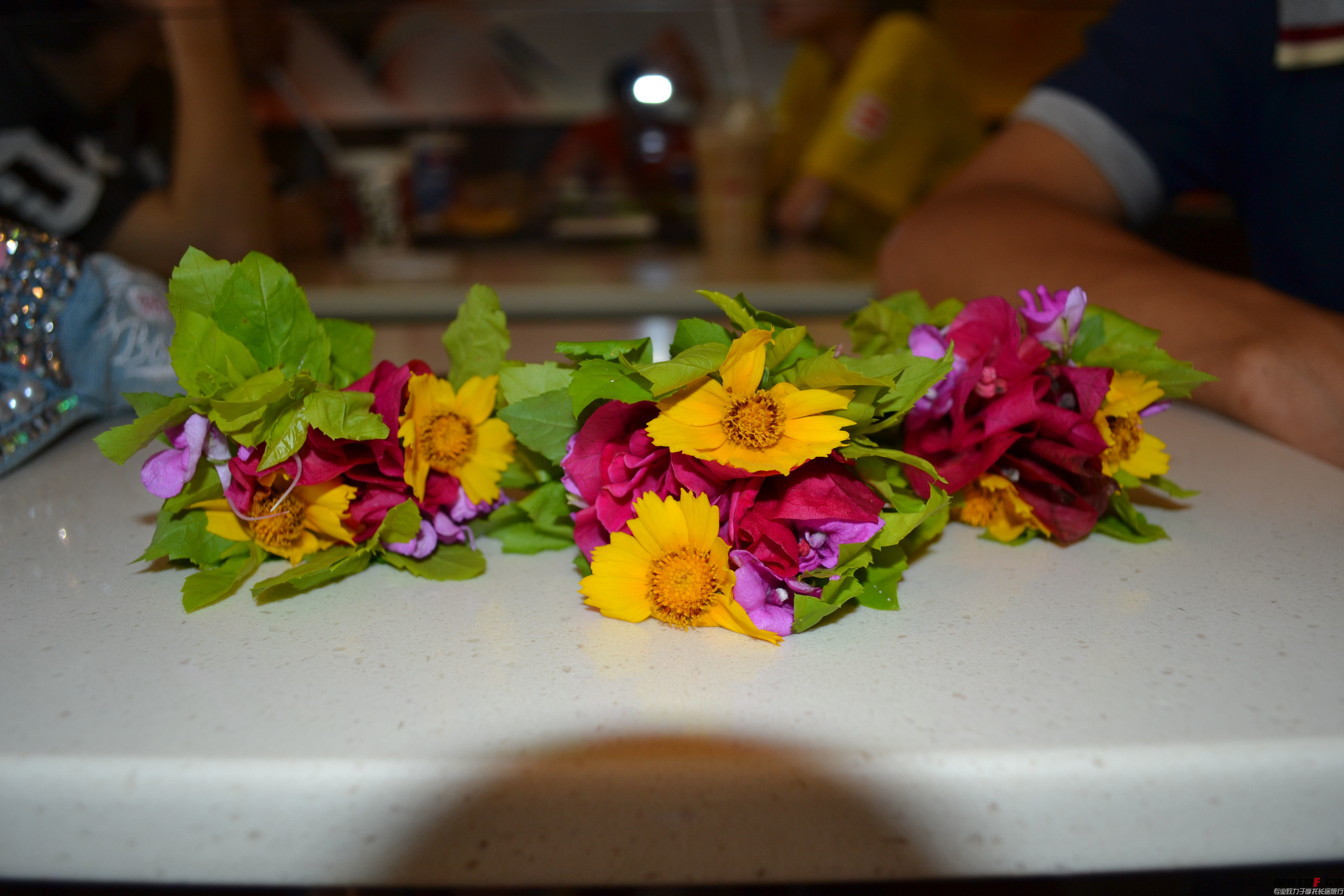 DSC_0366.jpg