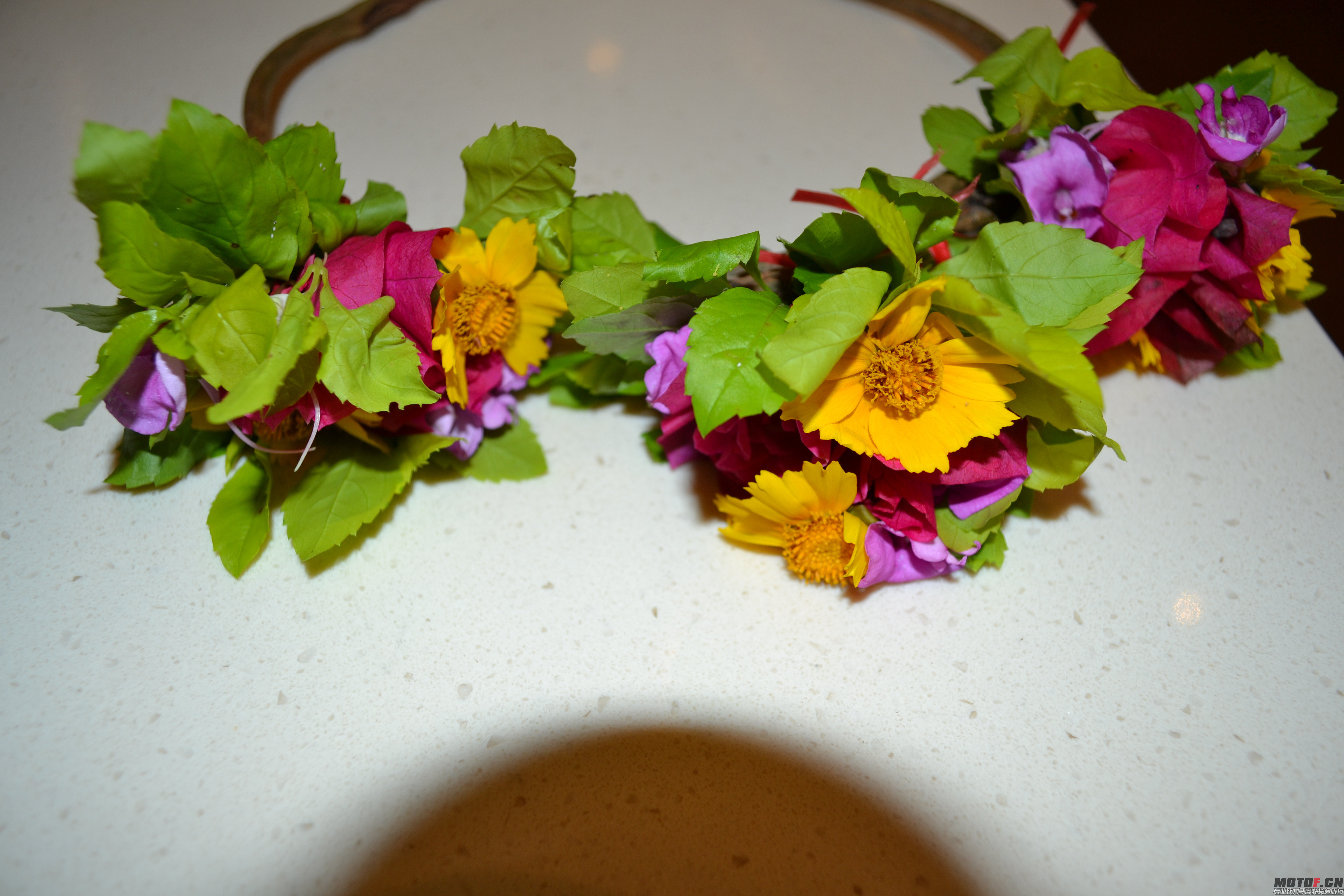 DSC_0367_副本.jpg