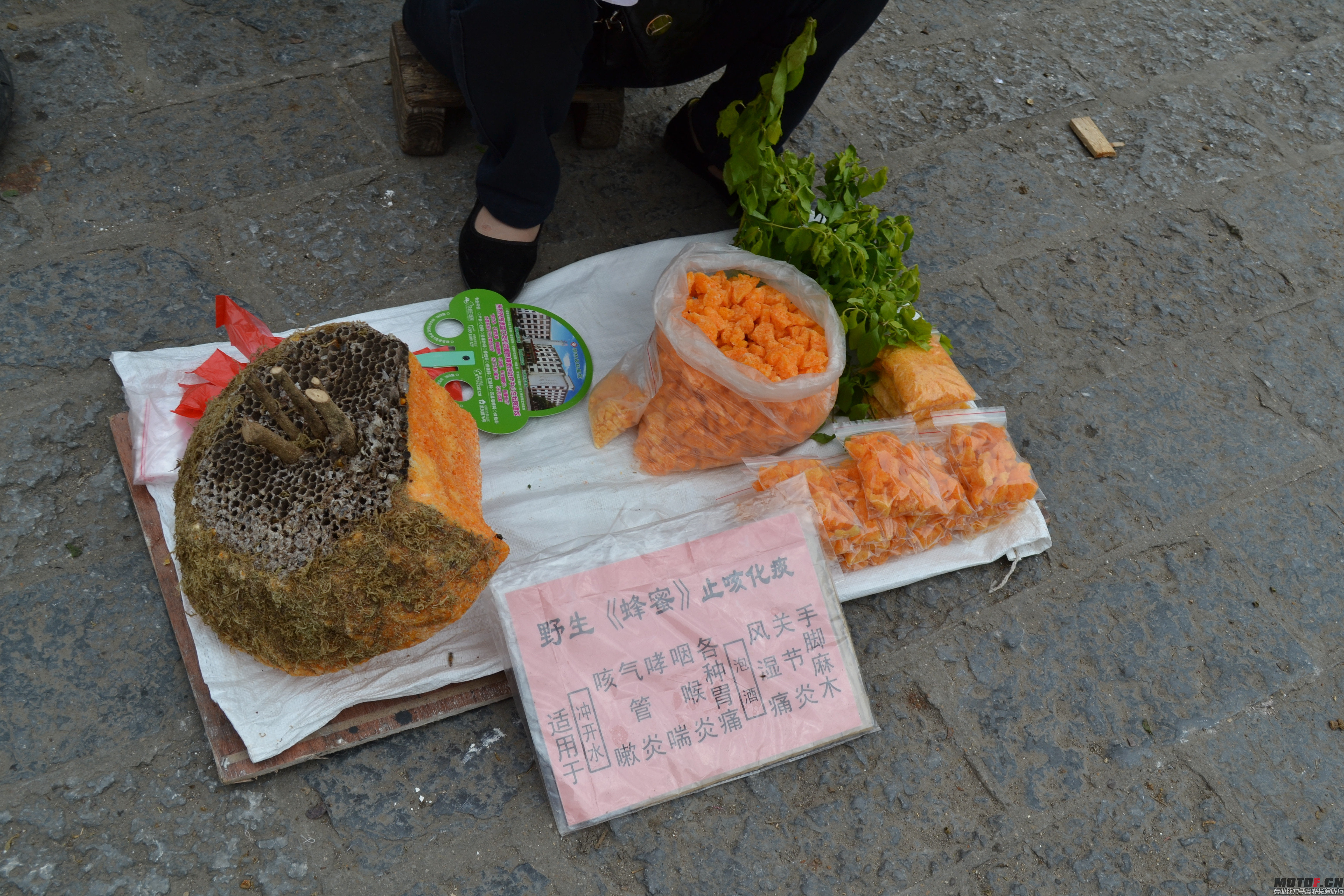 DSC_0370_副本.jpg