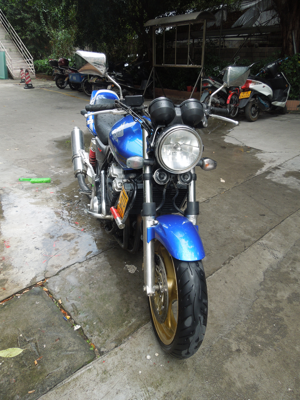 DSCN9253.JPG