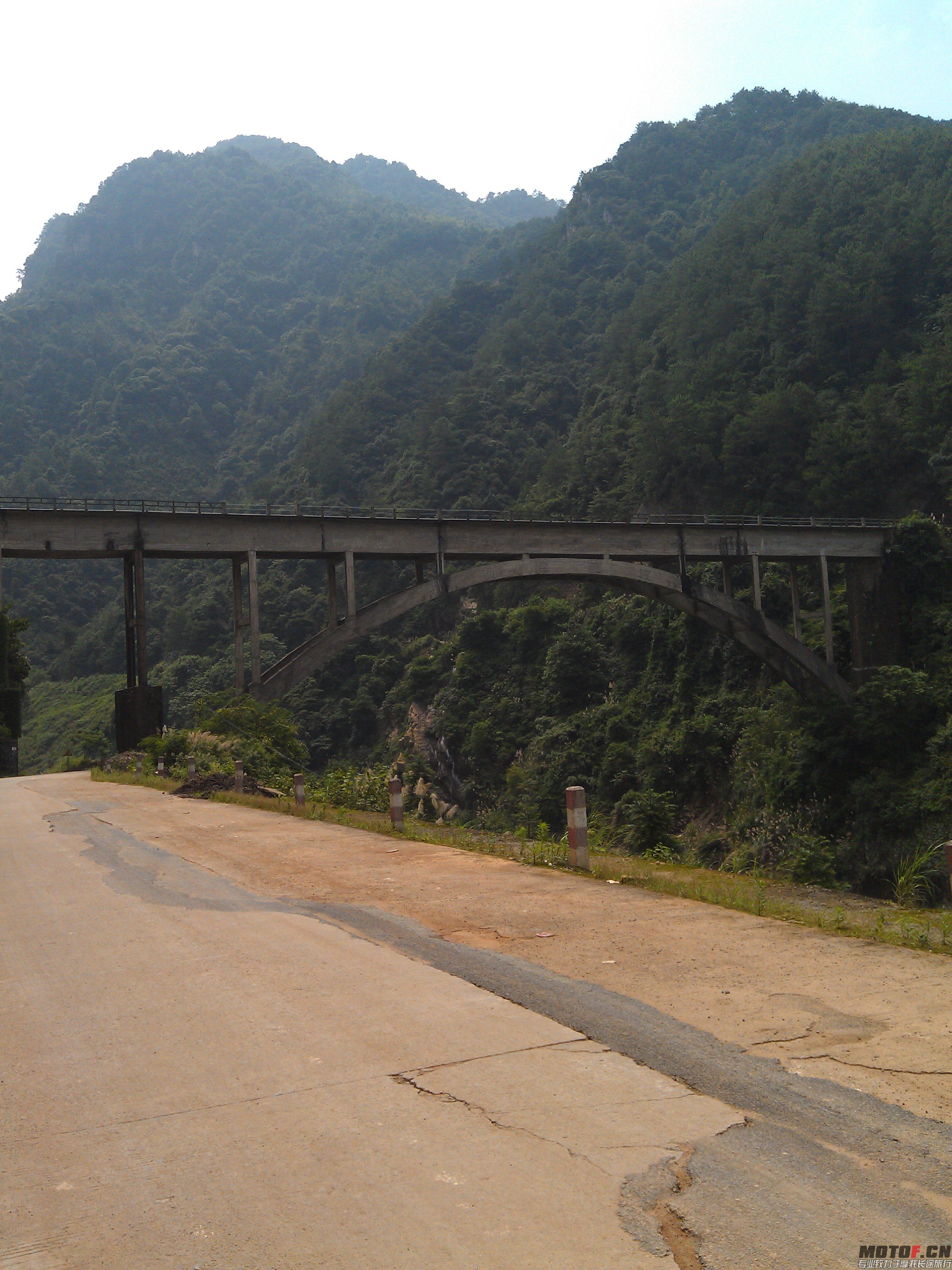 IMAG0040.jpg