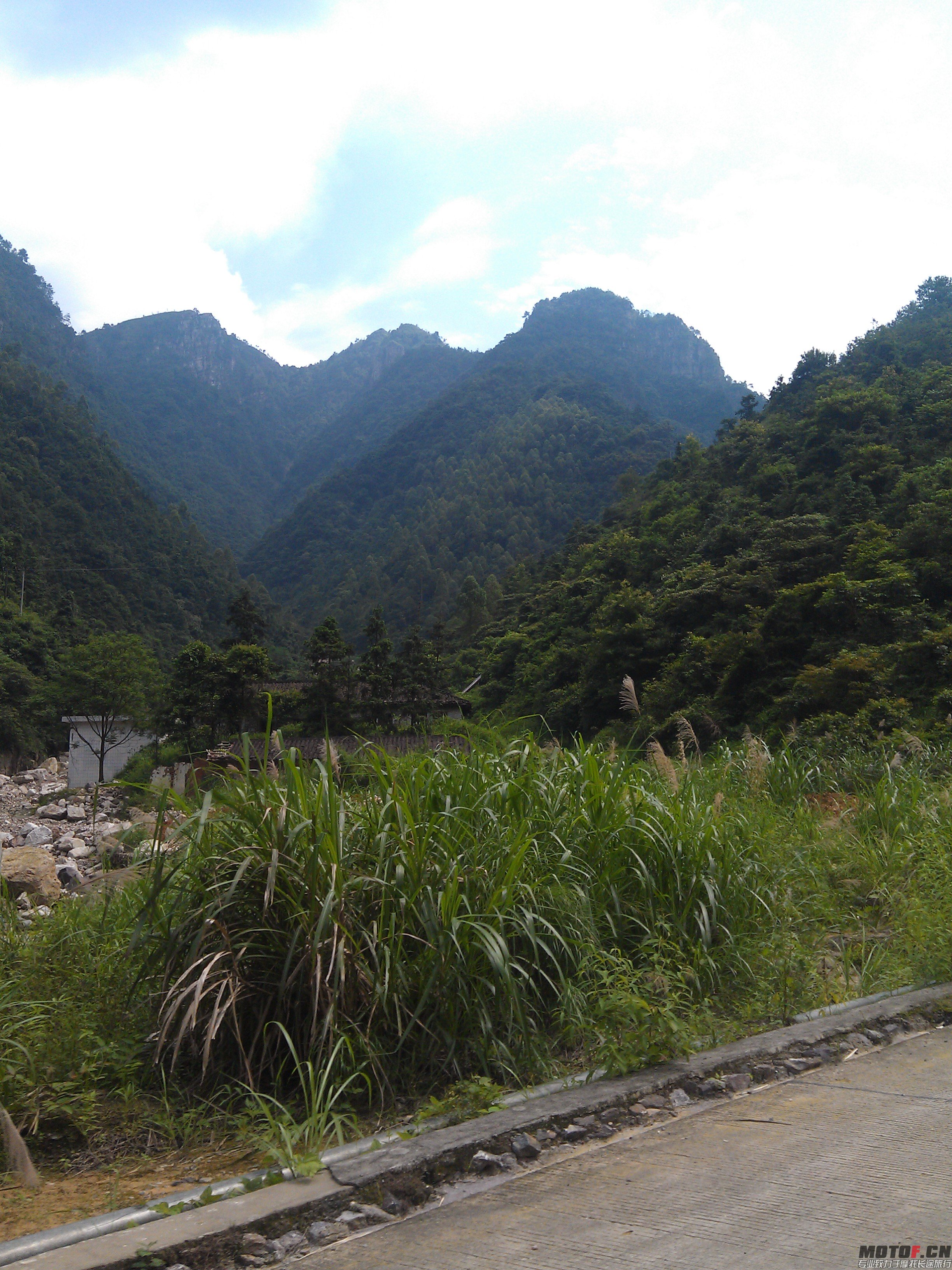 IMAG0045.jpg