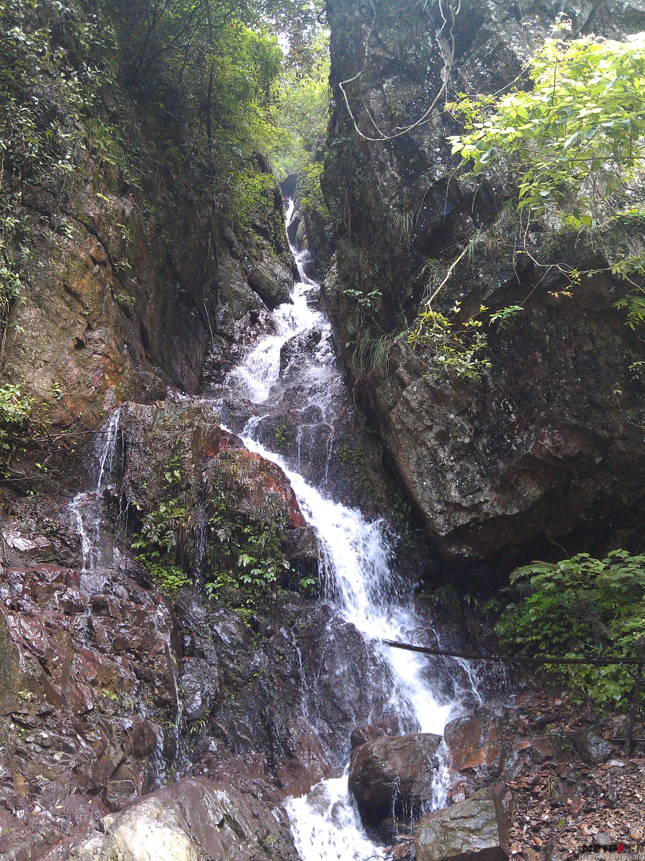 IMAG0051.jpg