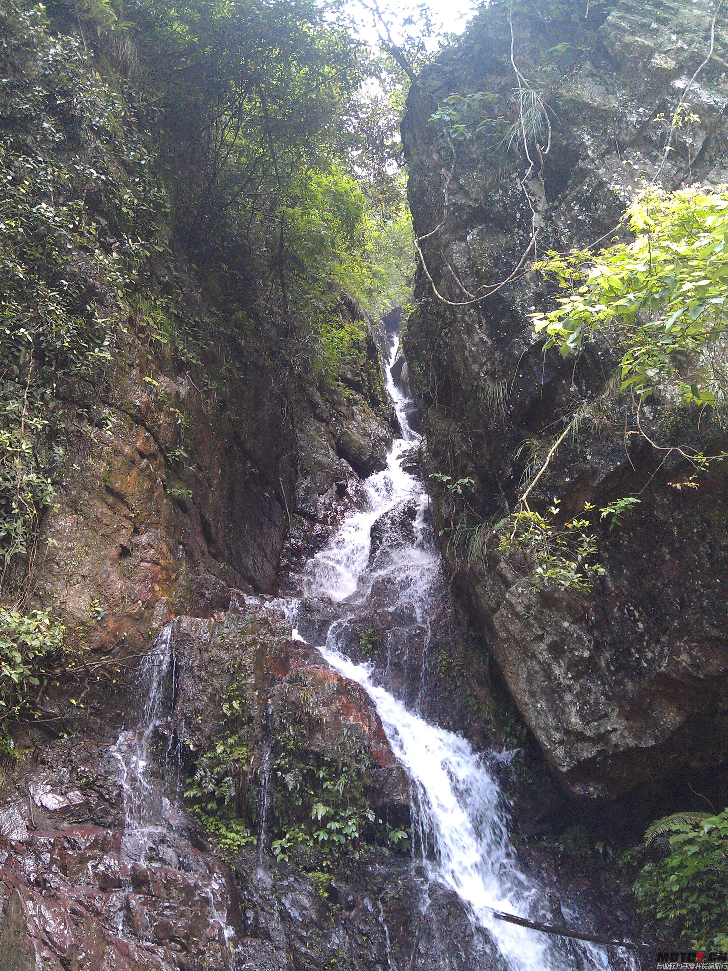 IMAG0052.jpg