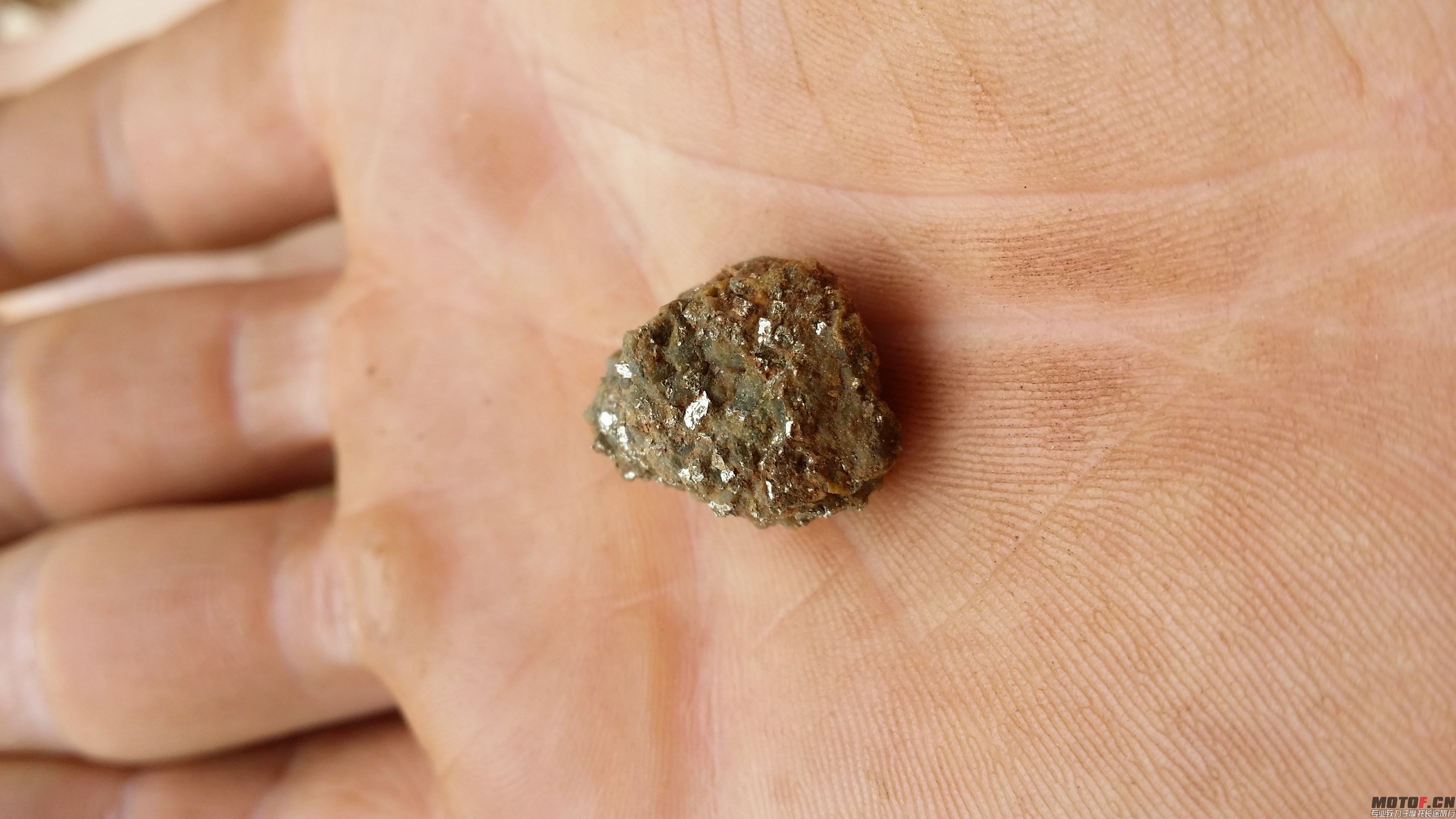 20140531_113353.jpg
