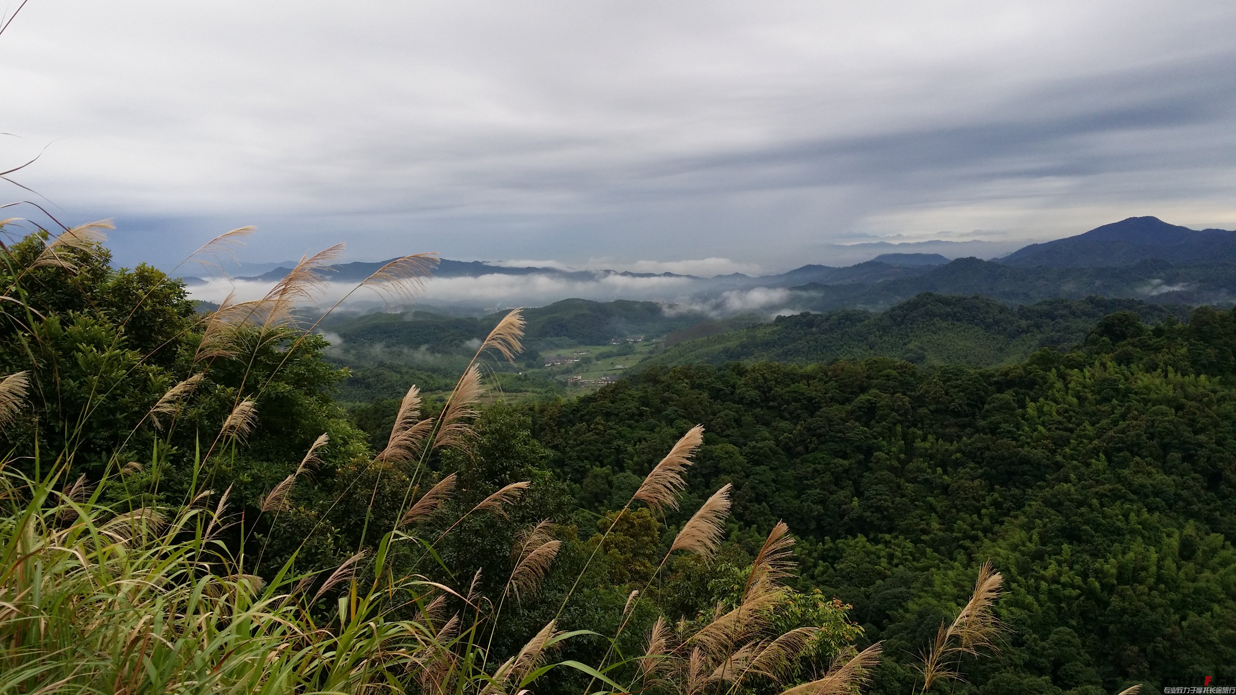 20140606_063107.jpg