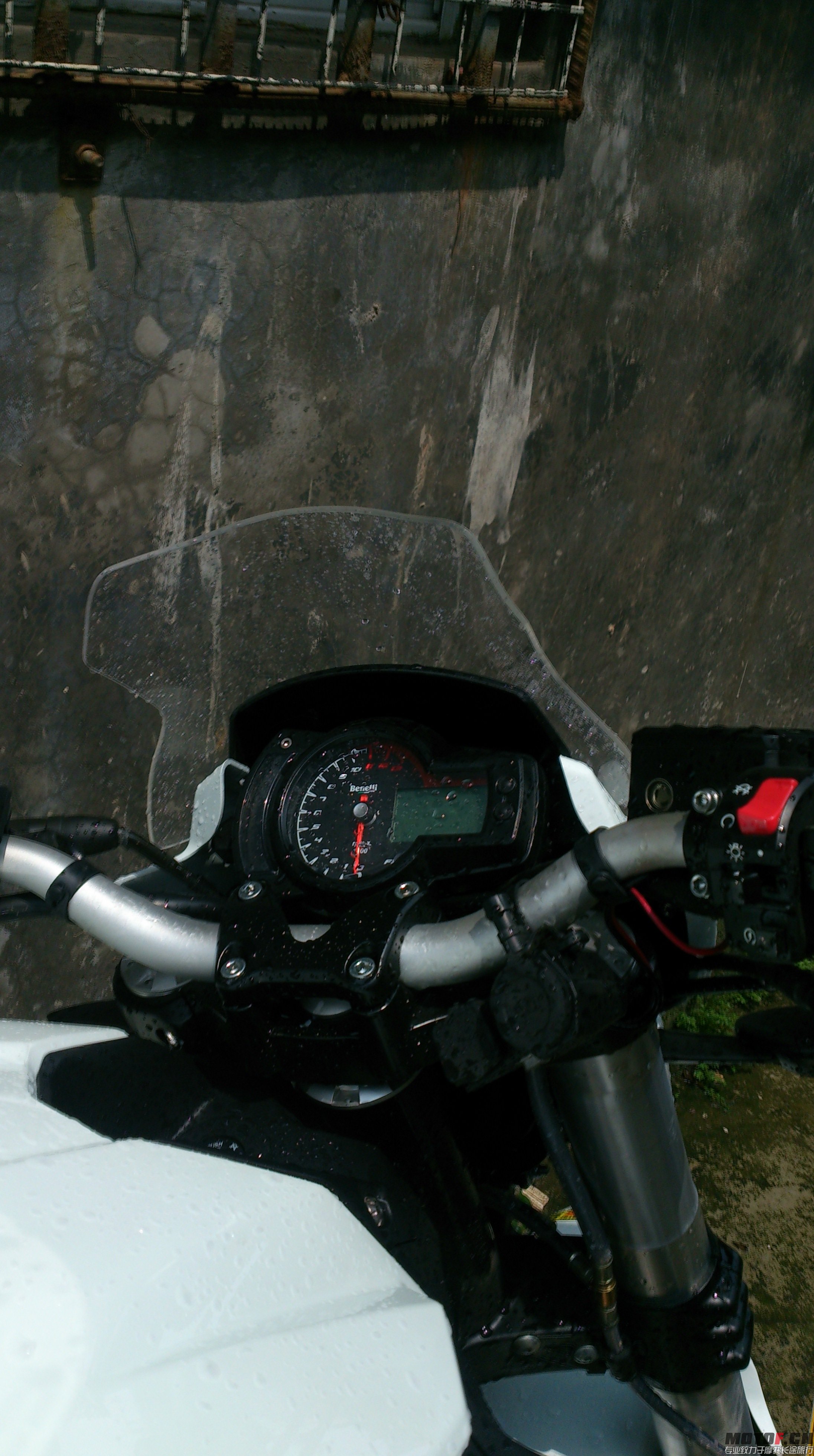 DSC_0724.JPG