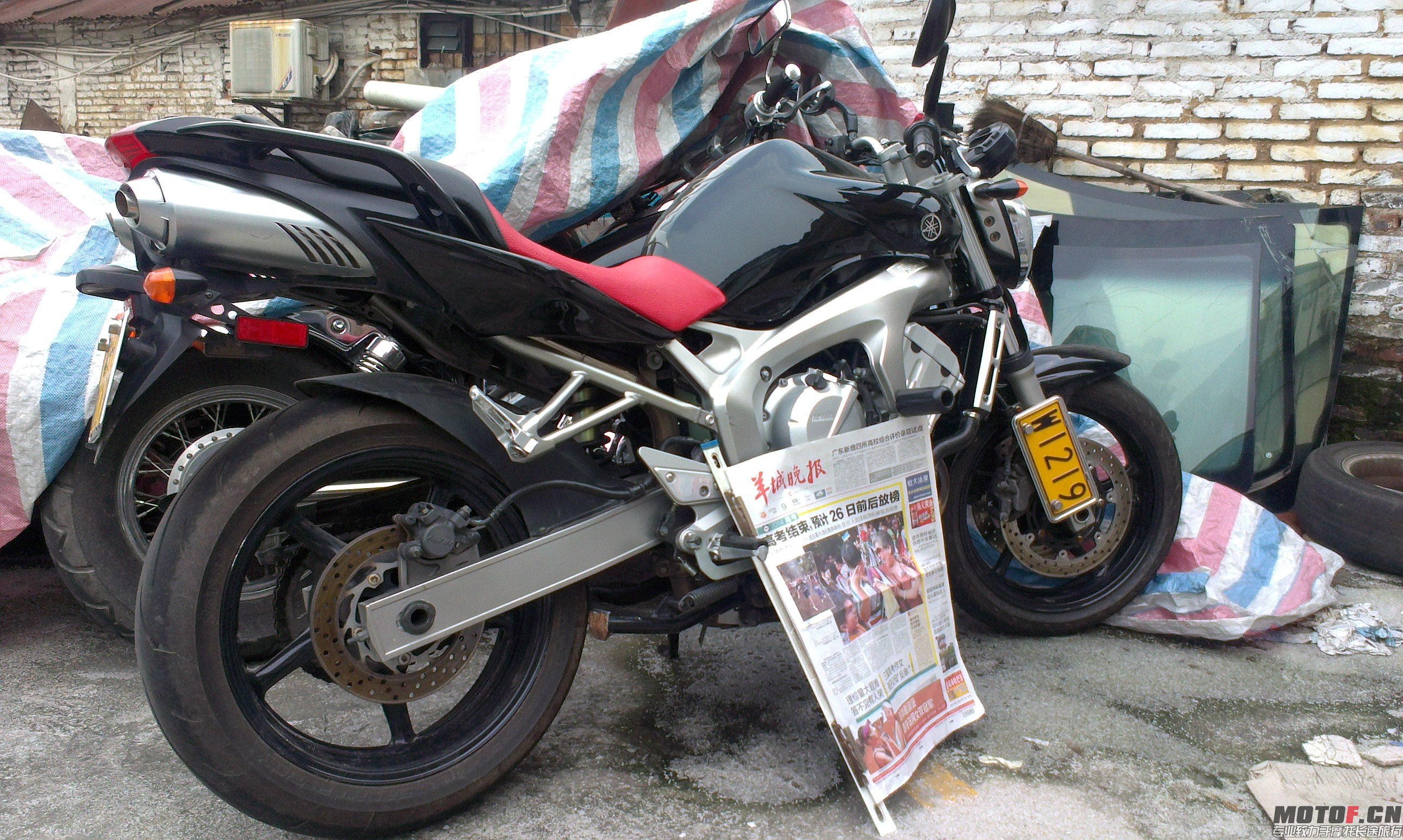 IMAG0246.jpg