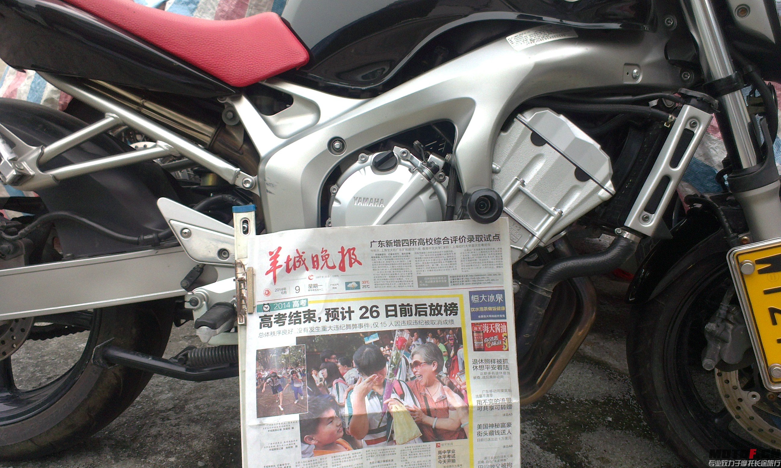 IMAG0247.jpg