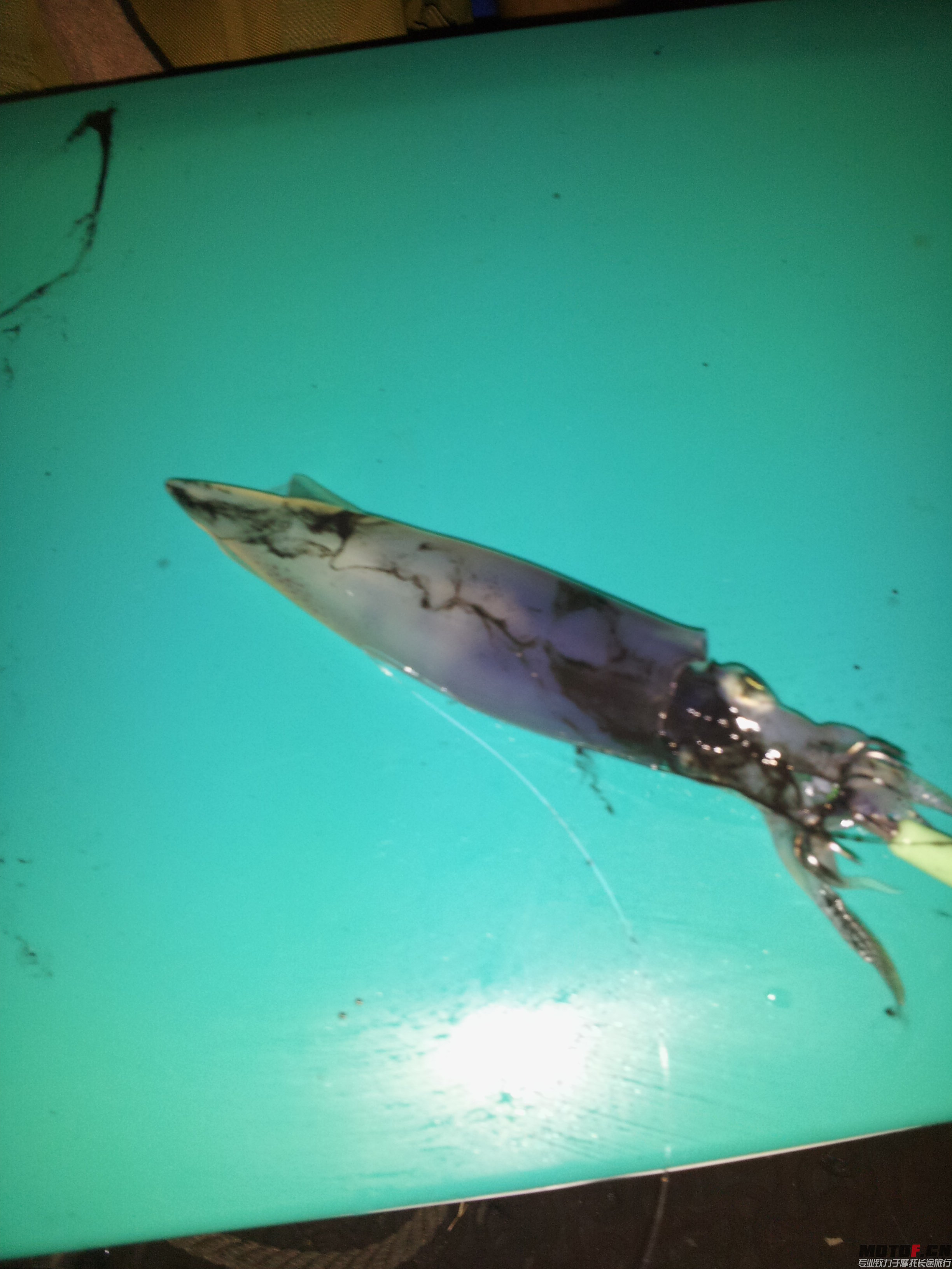 20140609_214420.jpg