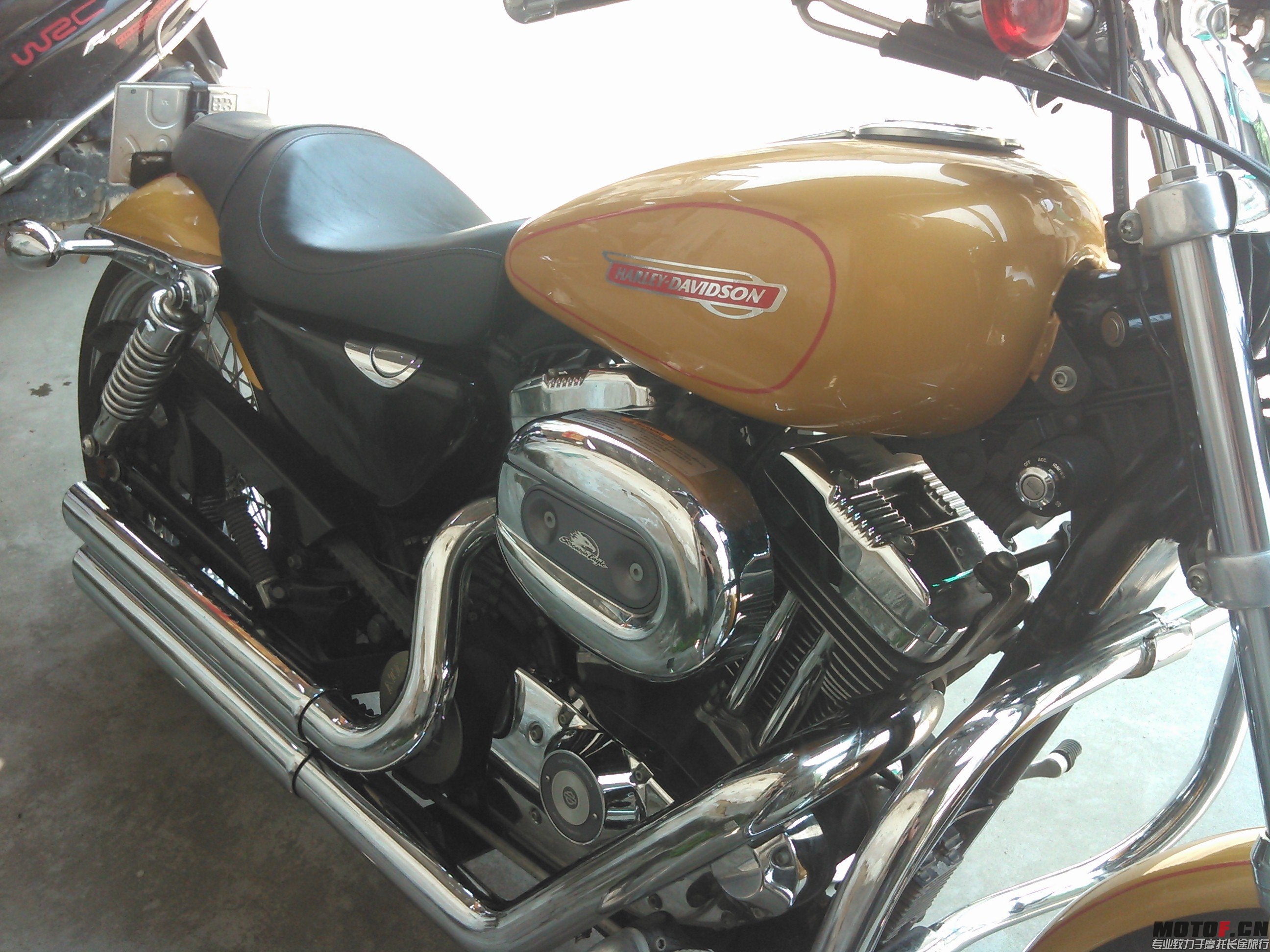 WP_20140612_013.jpg