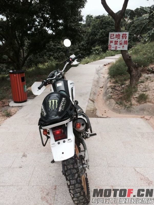 mmexport1402736889567.jpg