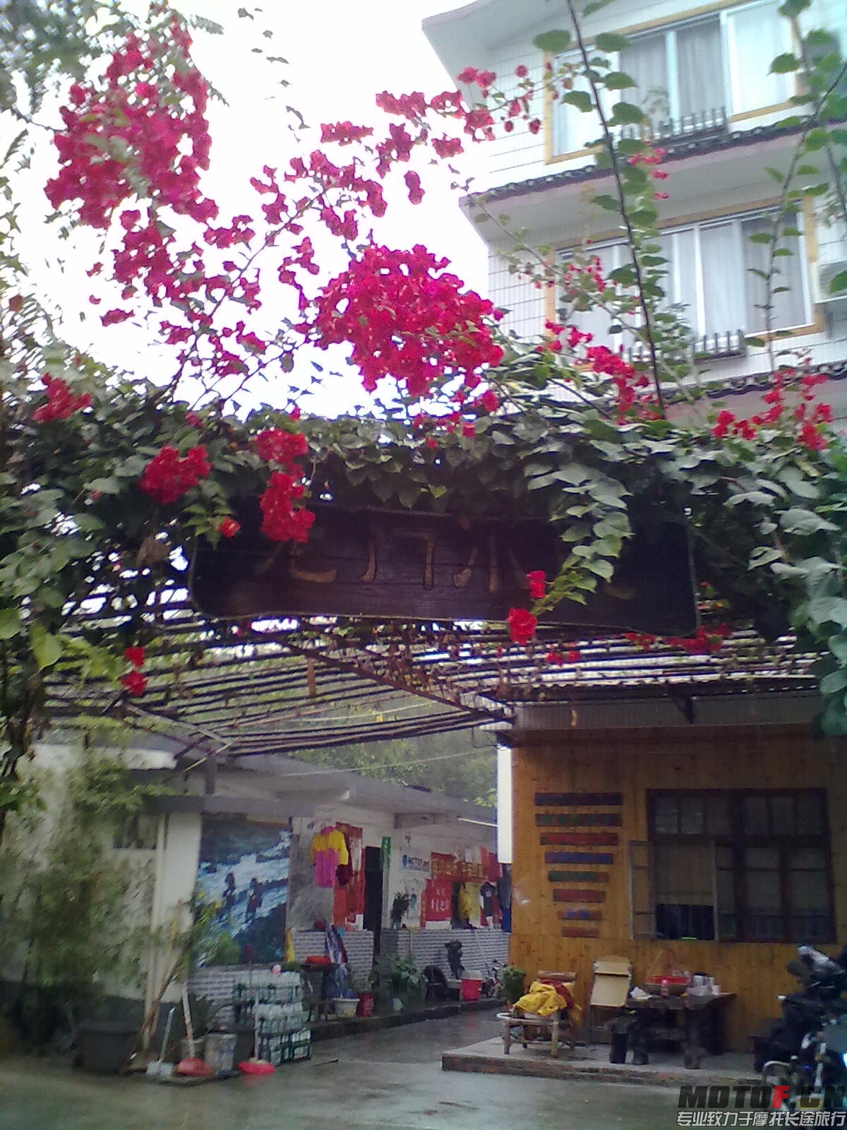 20131124746.jpg