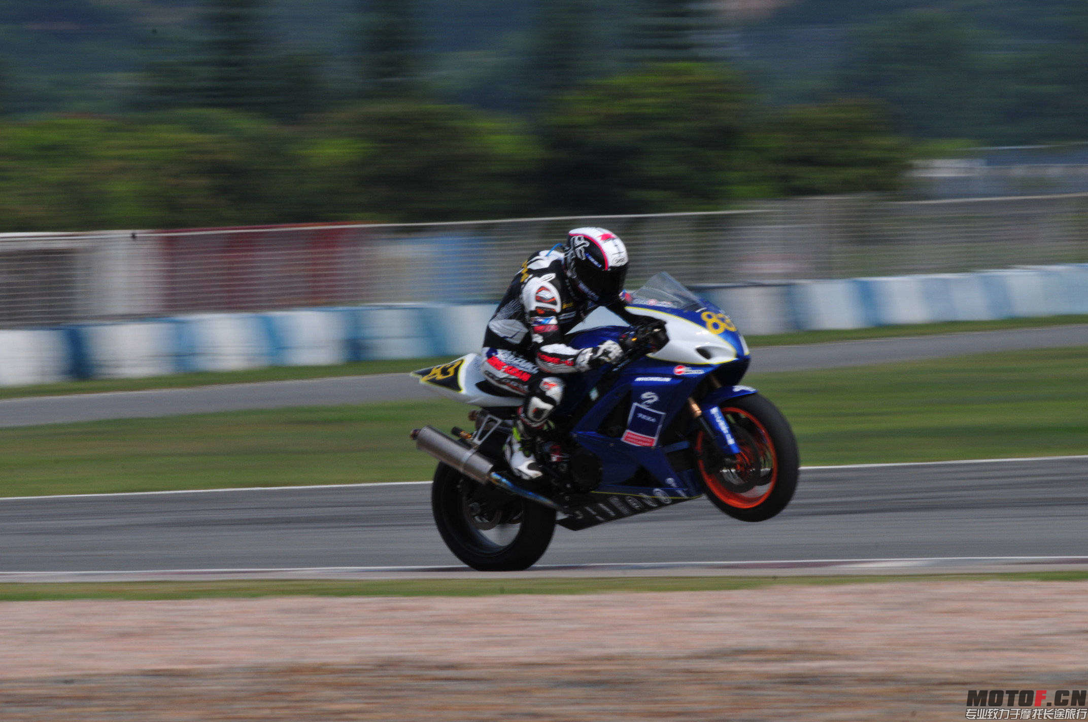 DSC_2003.jpg