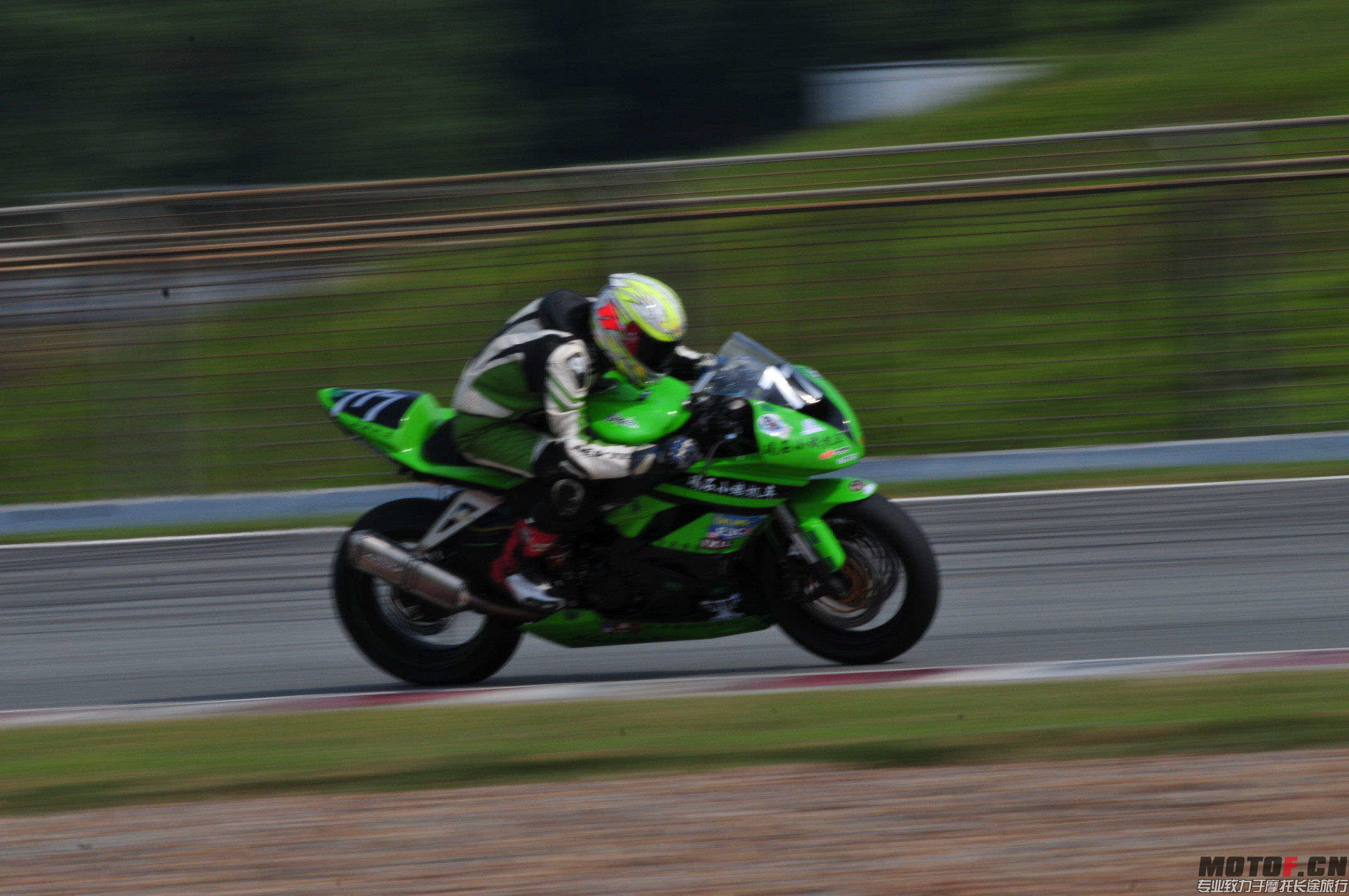 DSC_2014.jpg