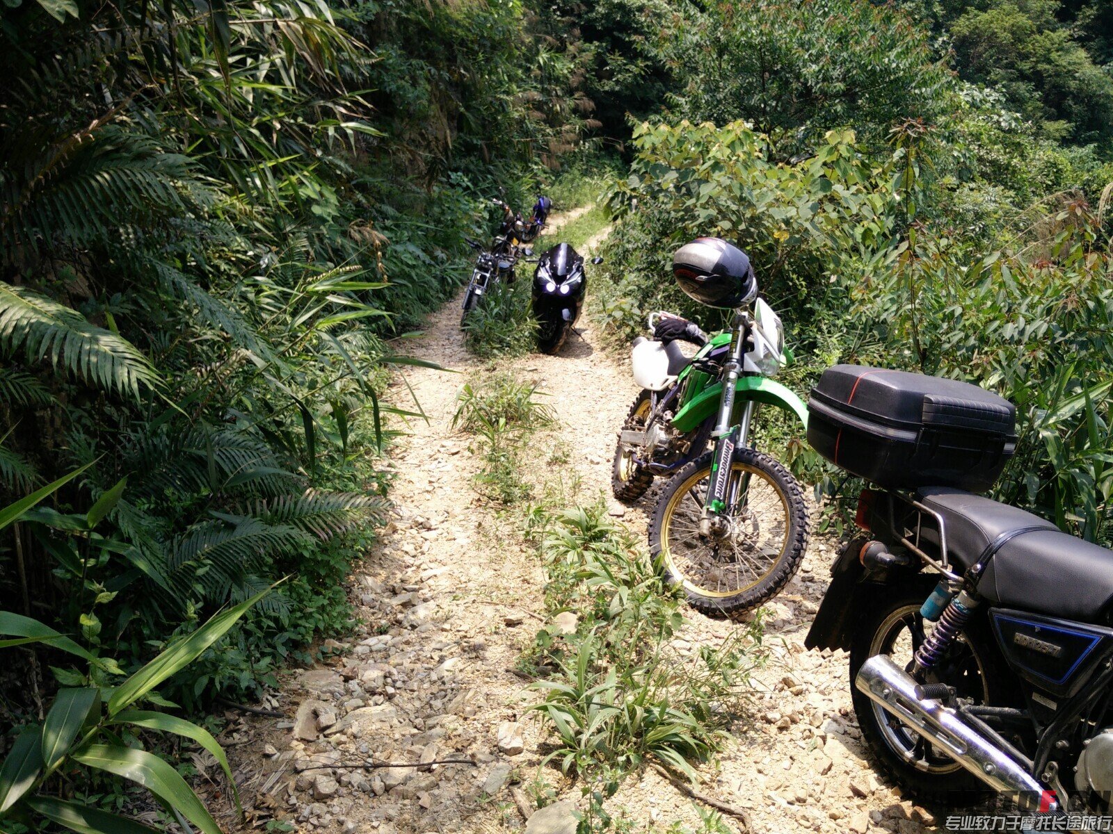 QQ图片20140615164338.jpg