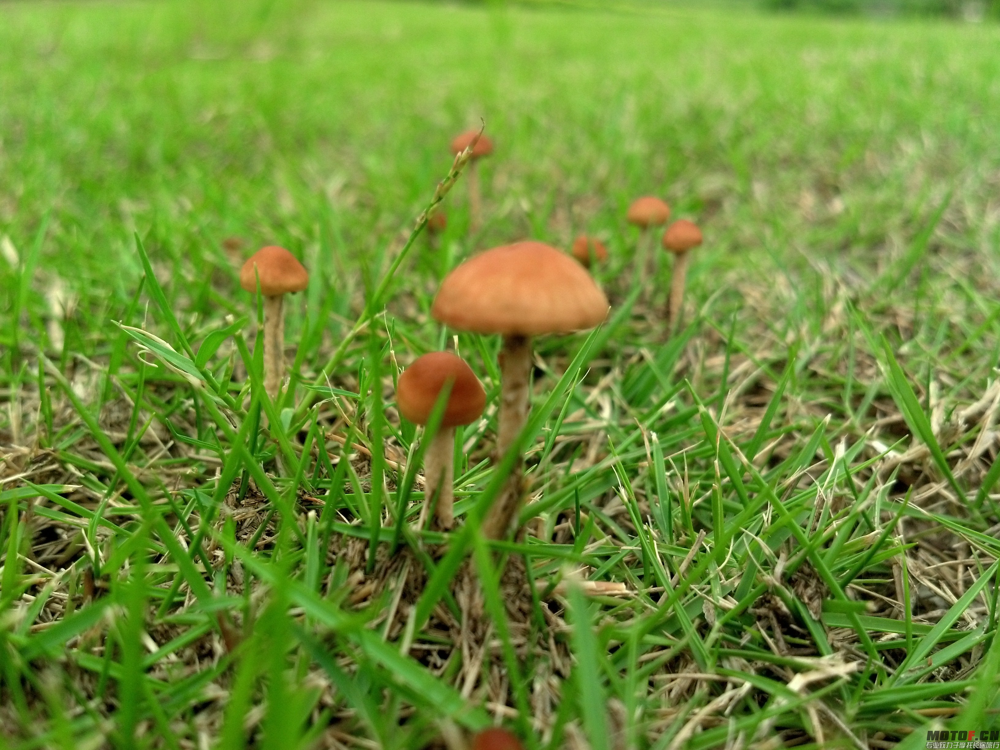 2014-06-11_15-02-54_153.jpg