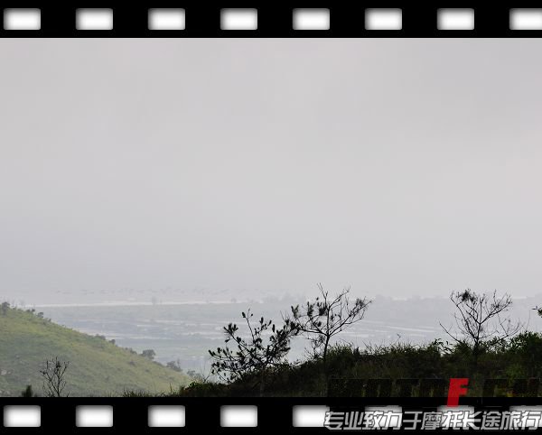 DSC_0101.jpg