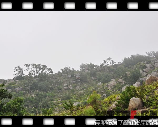 DSC_0102.jpg