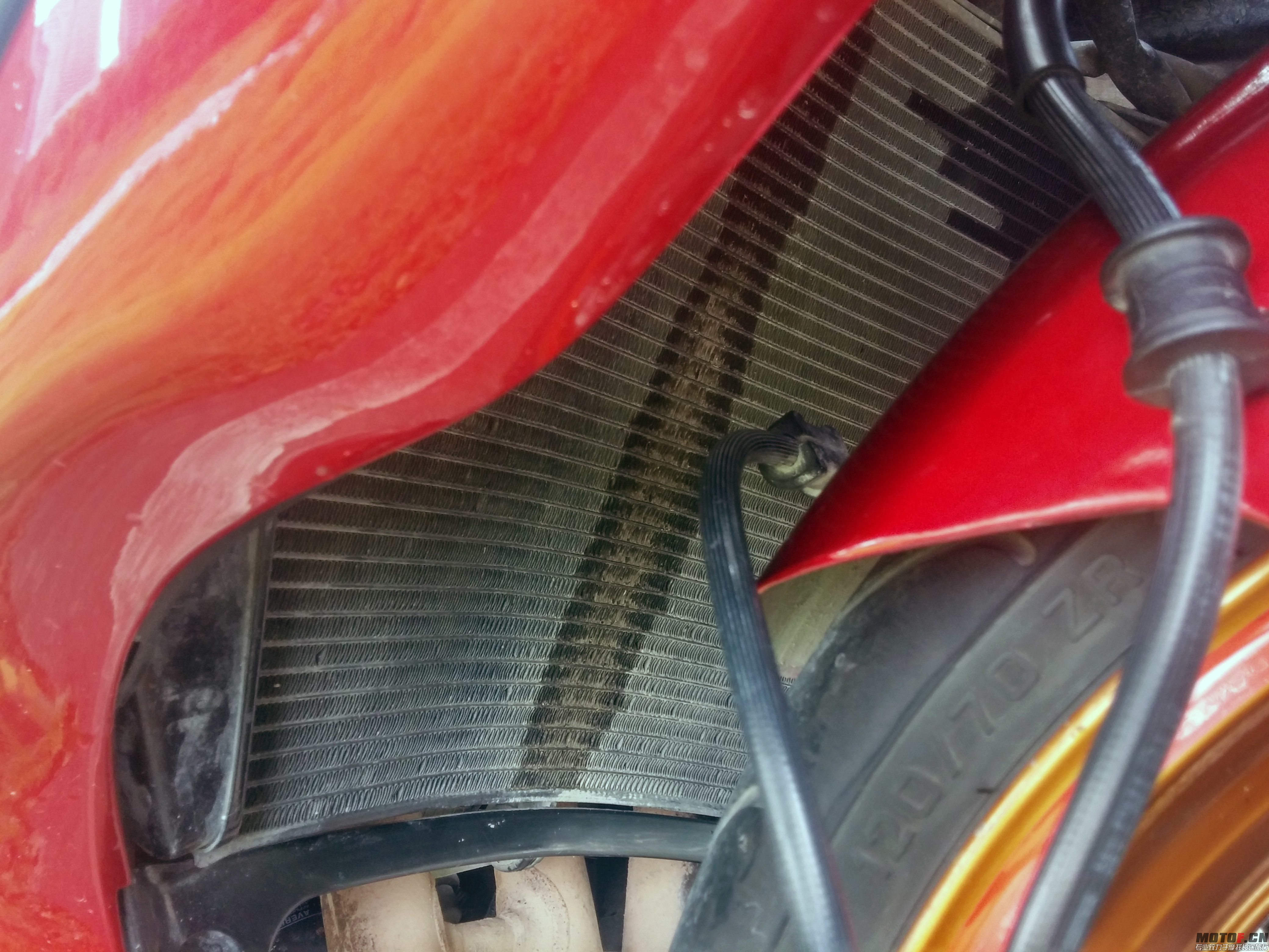 20140619_103524_HDR.jpg