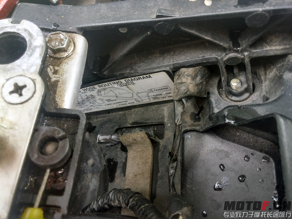20140619_103620_HDR.jpg