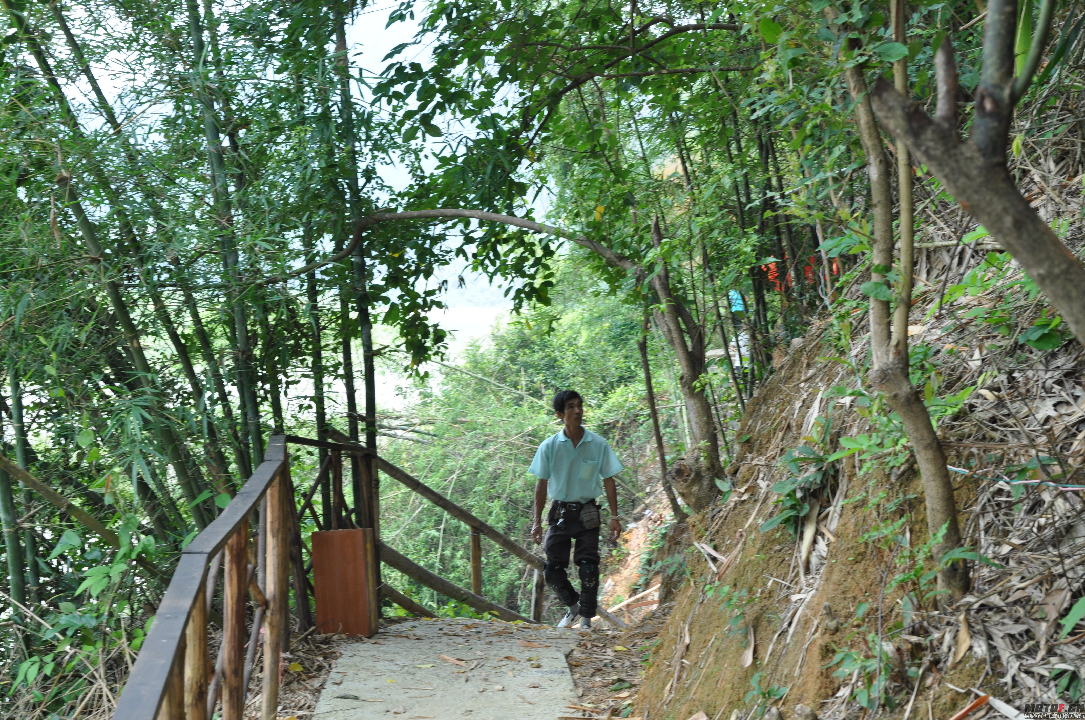DSC_1012.JPG
