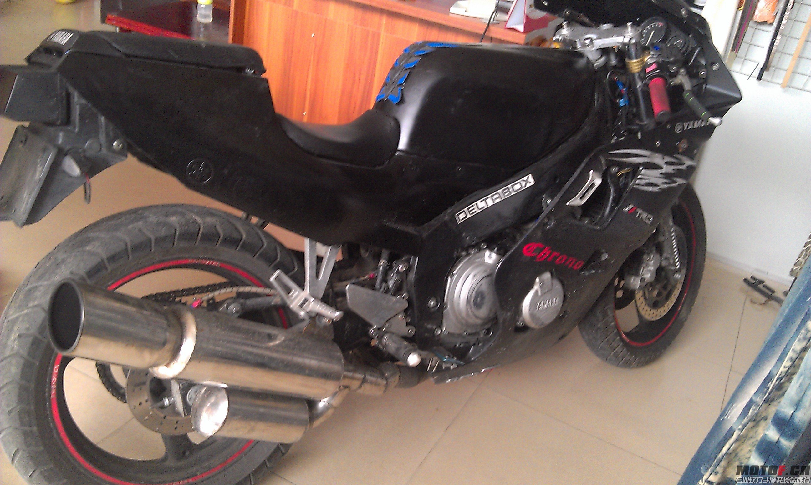 IMAG0463.jpg