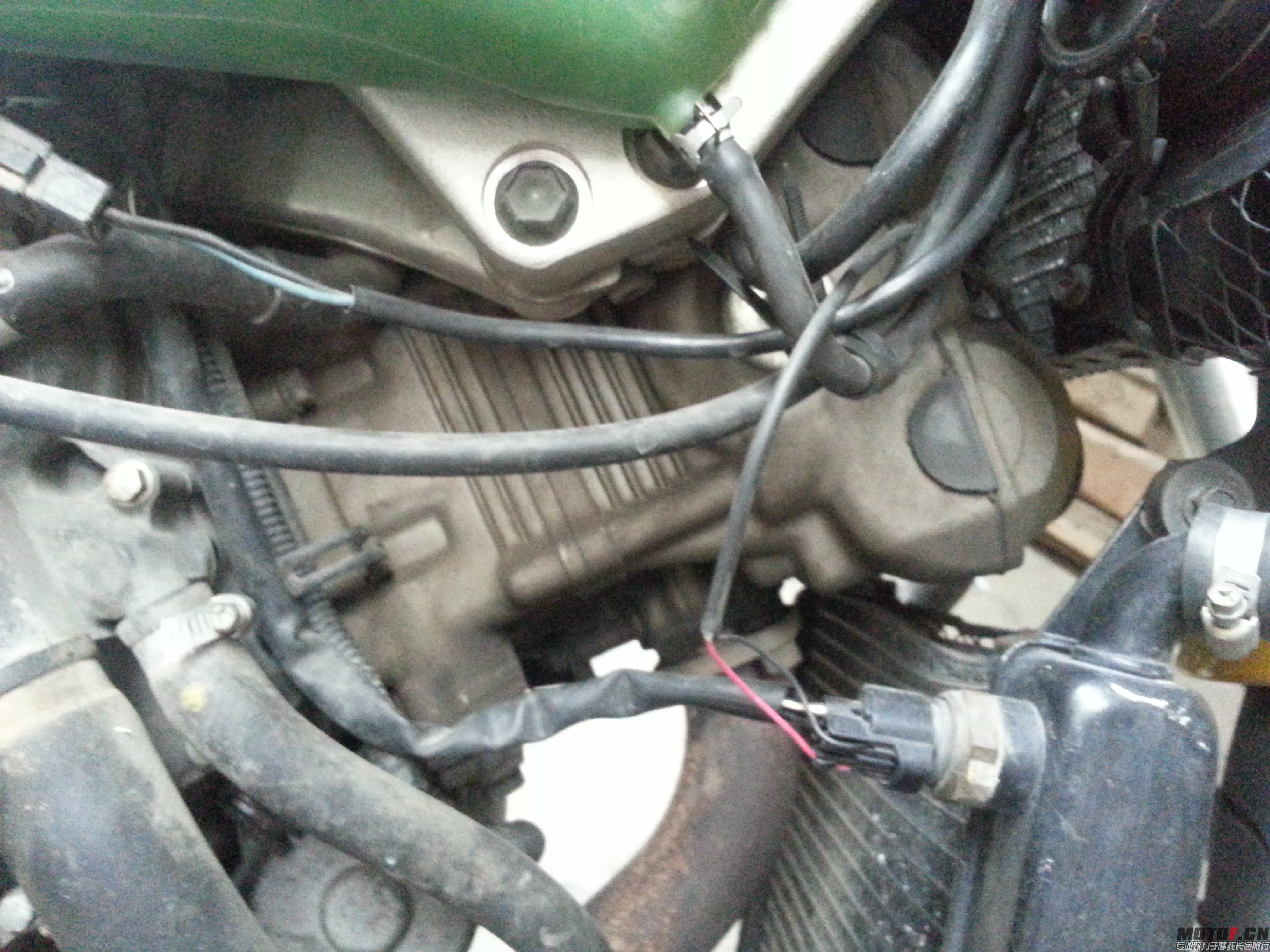 20140622_165130.jpg