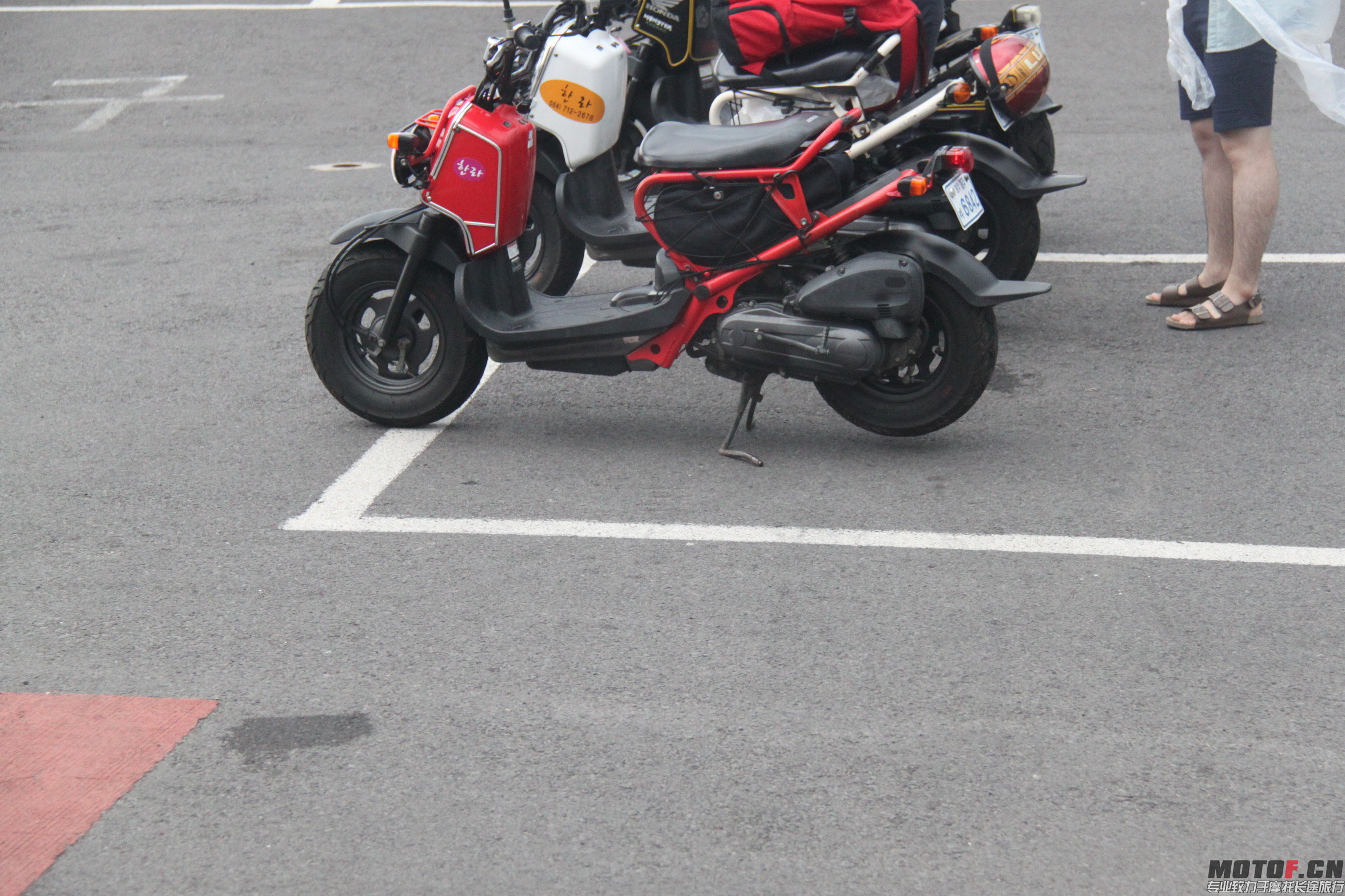 IMG_8212.JPG