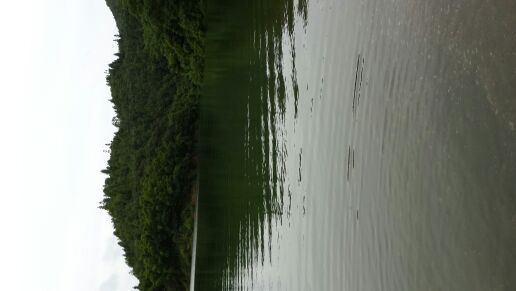 IMG_20140625_143516.jpg