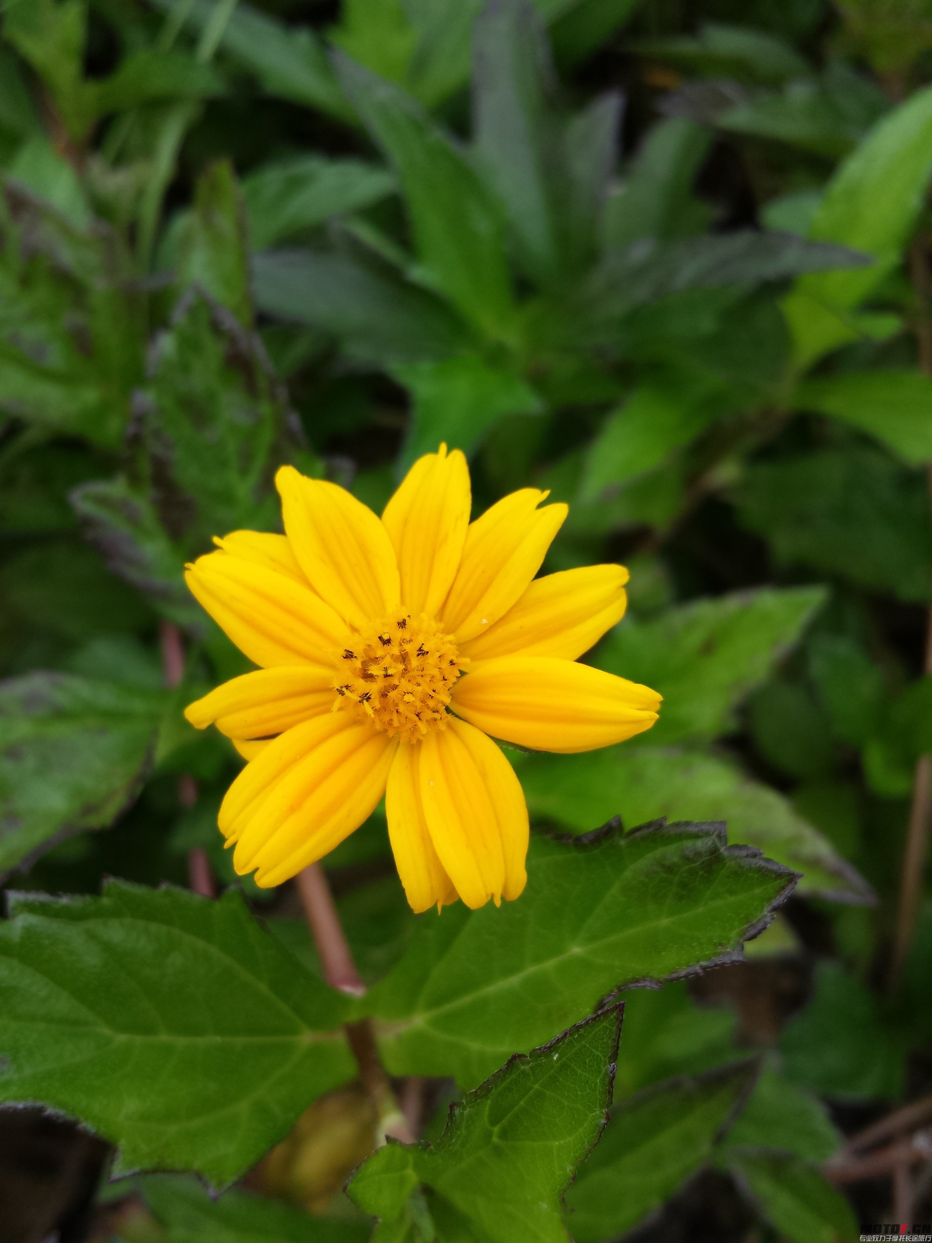 20140624_163200.jpg