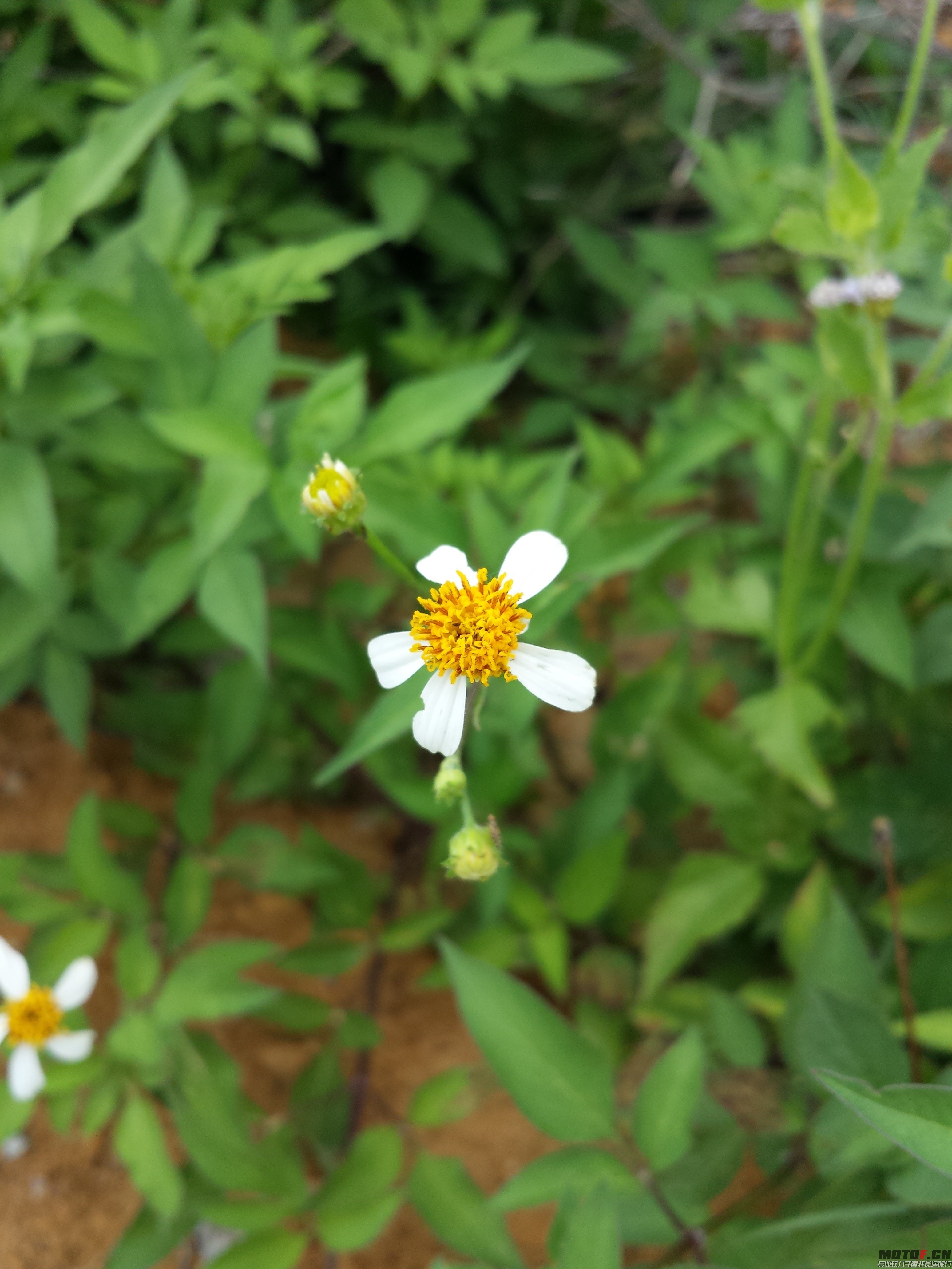 20140624_163443.jpg