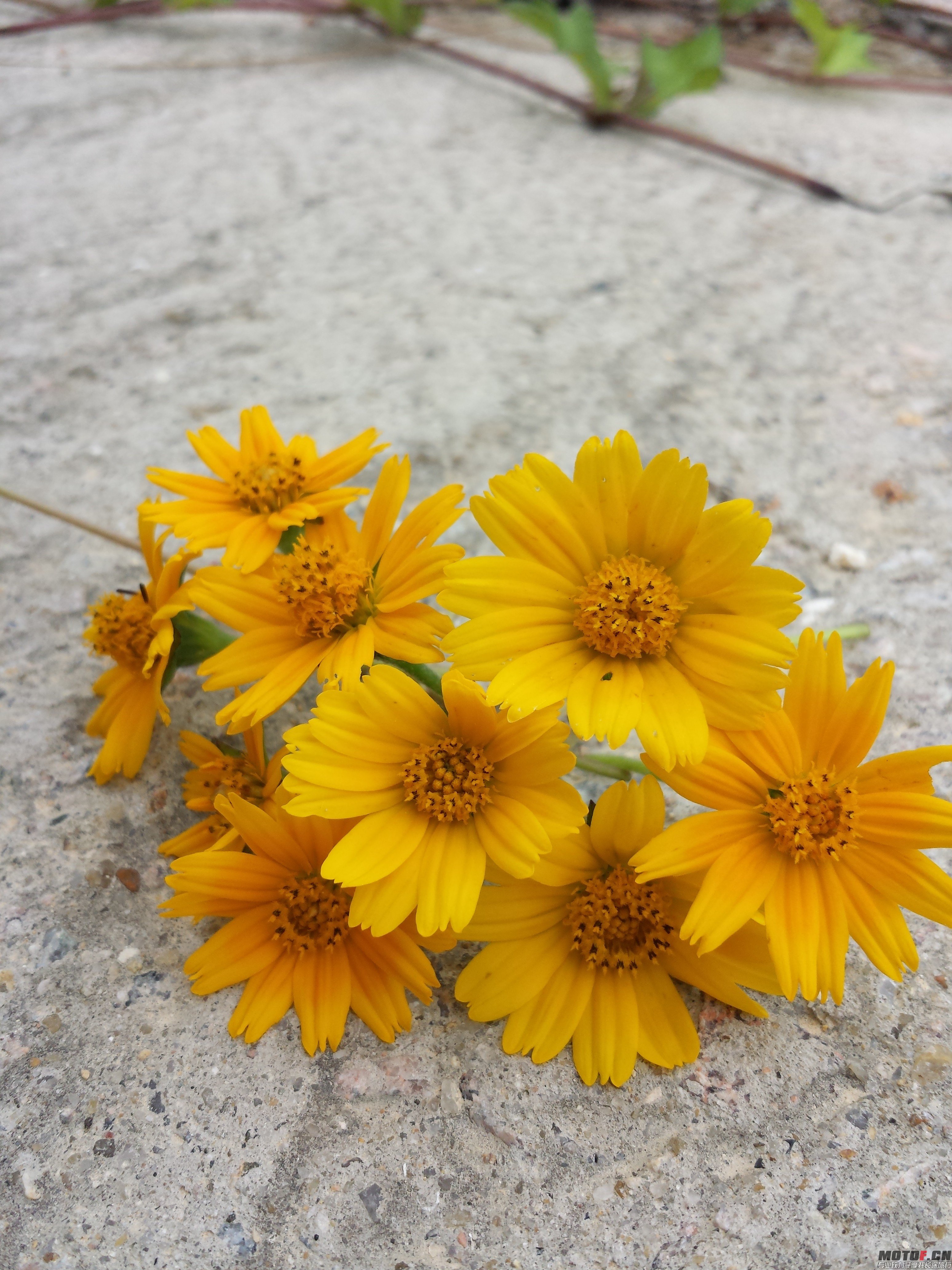 20140624_163549.jpg