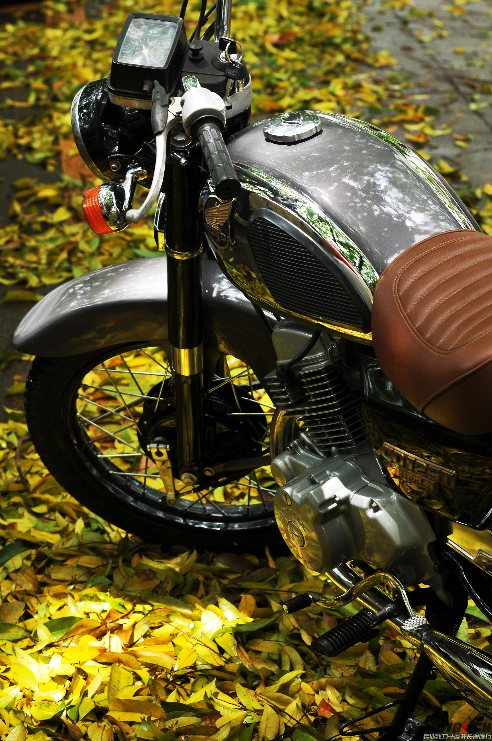 DSC_4458.JPG