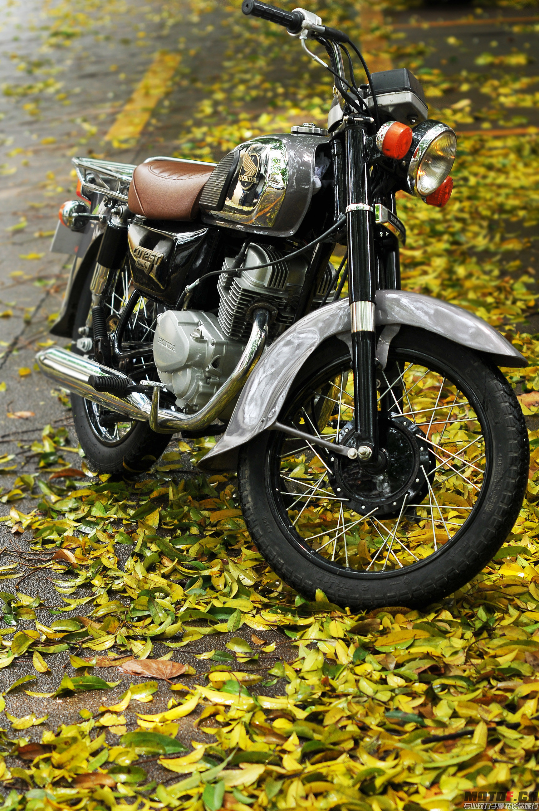 DSC_4446.JPG