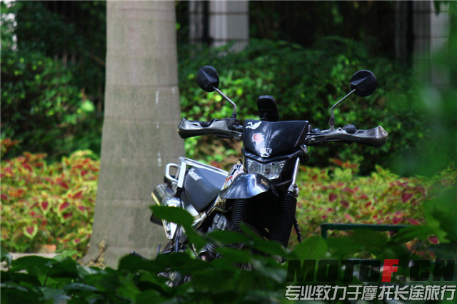 照片 031.jpg