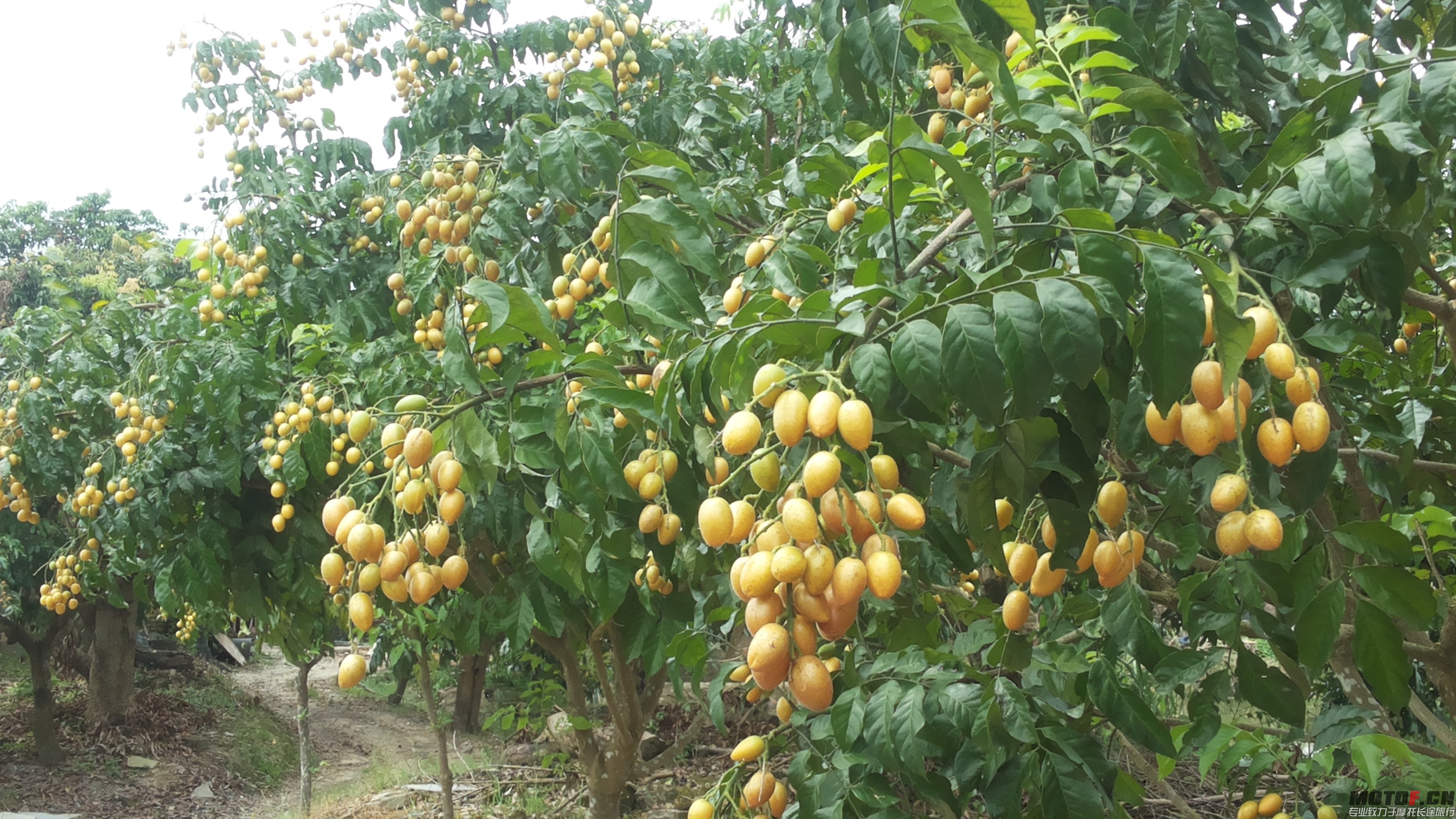 20140703_140545.jpg