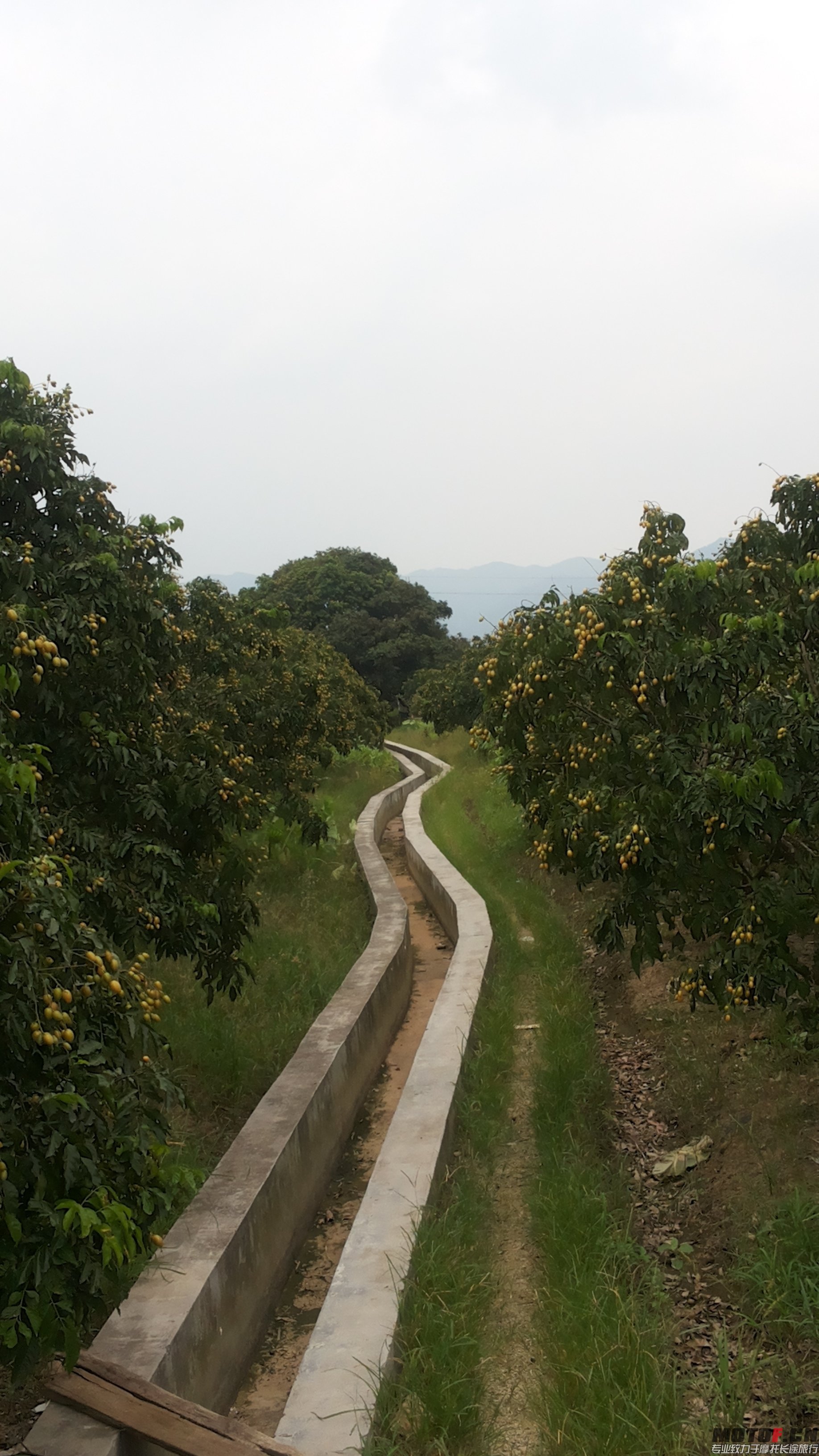 20140703_140733.jpg