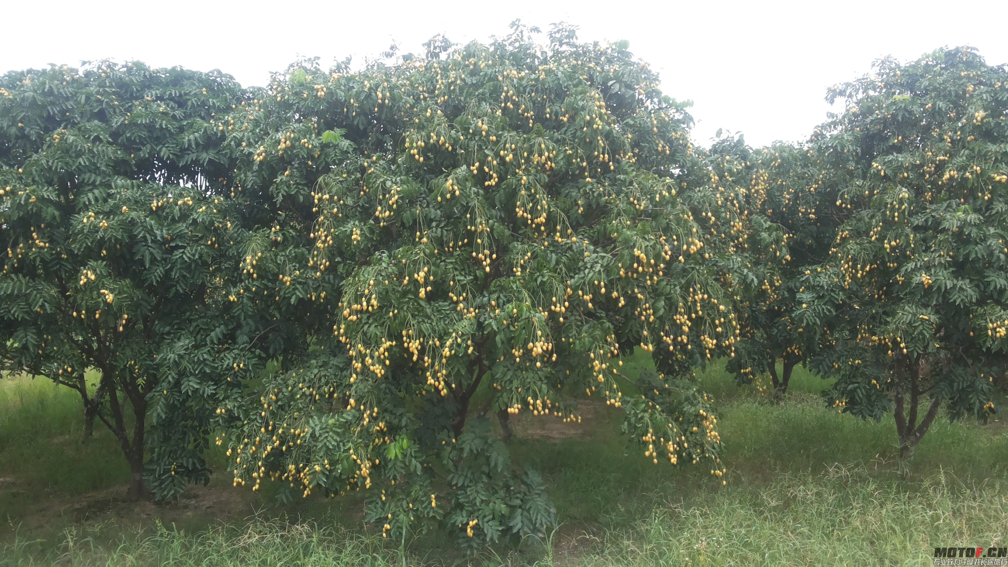 20140703_140920.jpg