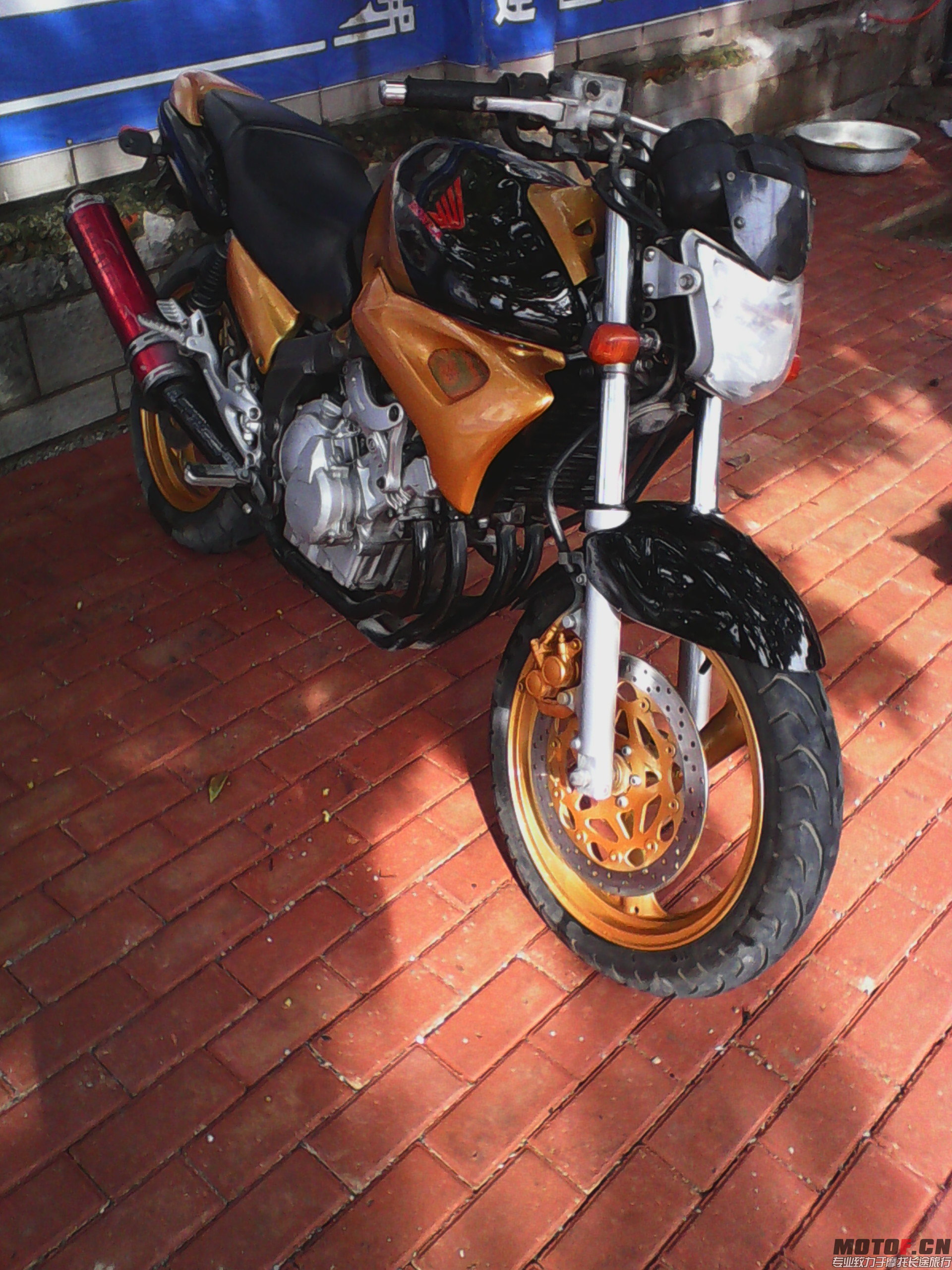 IMG_20140703_165333.jpg
