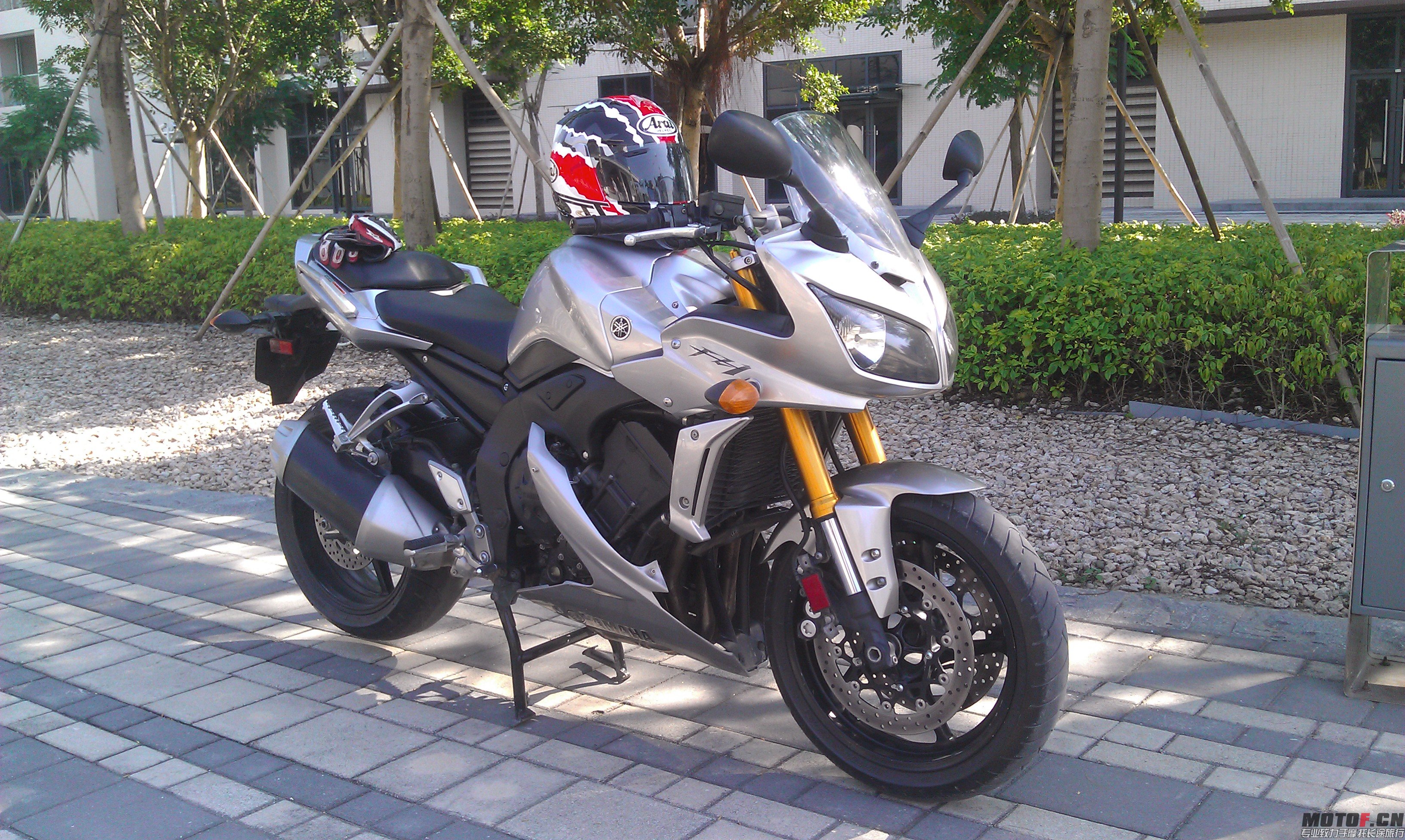 IMAG1308.jpg