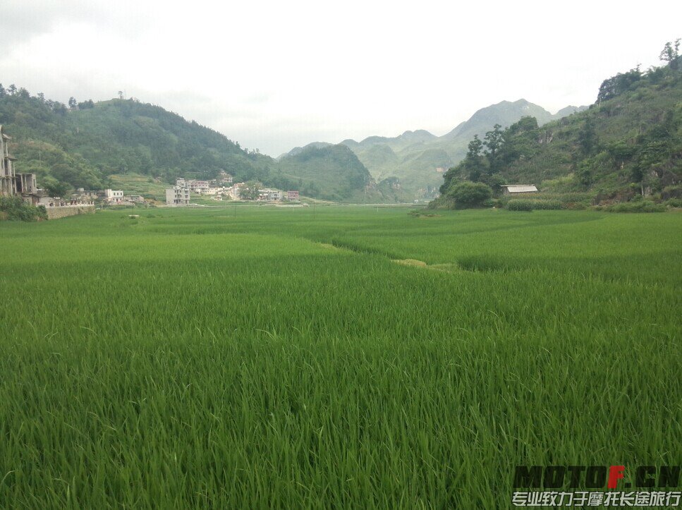 QQ图片20140706132702.jpg