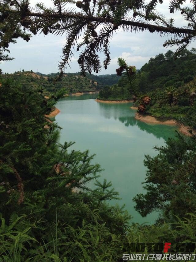 水裤的一角