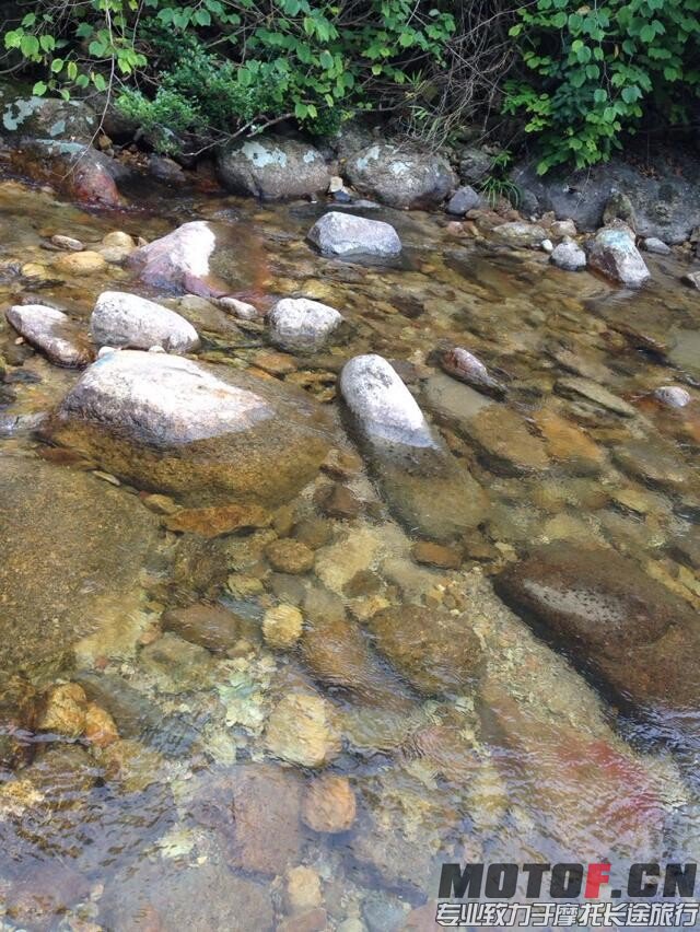 水清无雨，但是有小虾