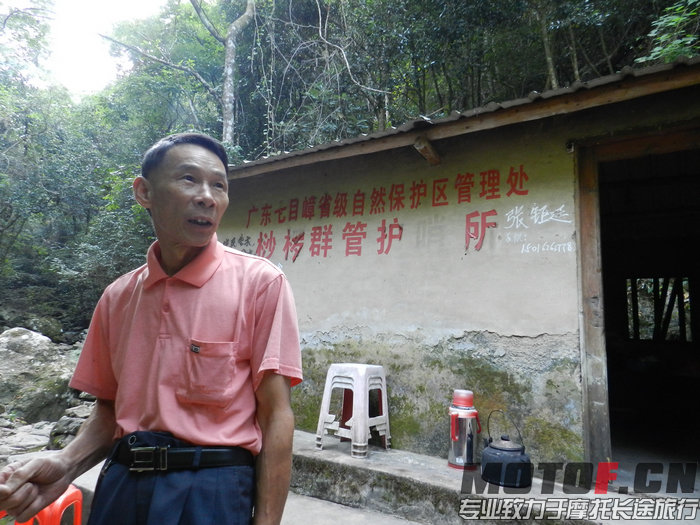 这个啊叔专门看这的沙罗树的。