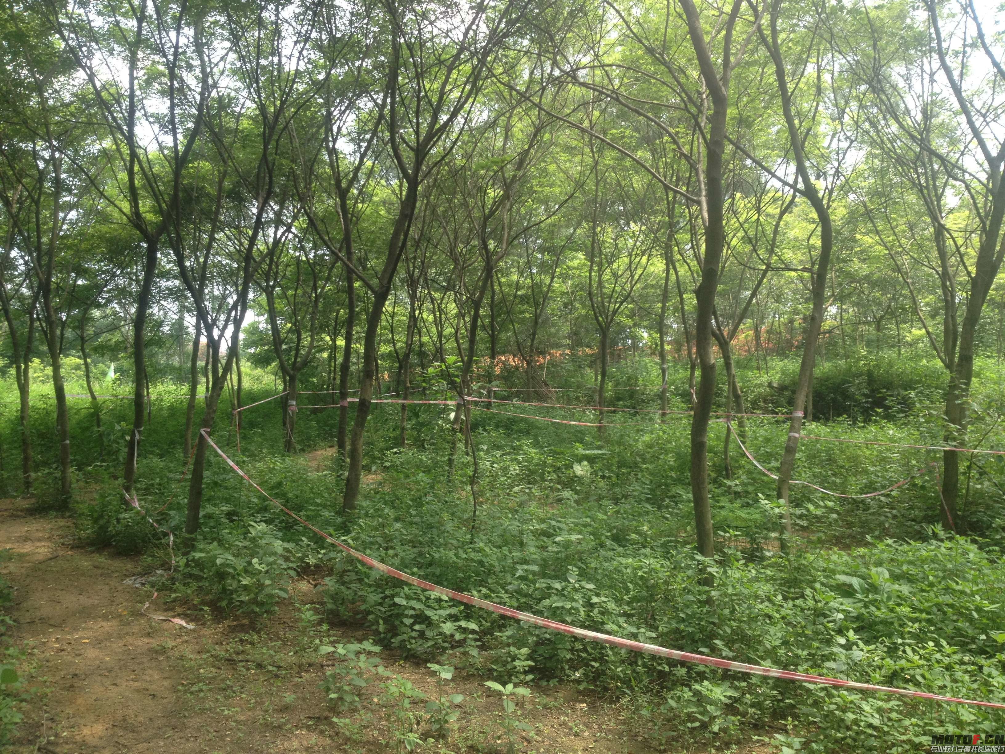 IMG_4999(JPG)_C(jpg)(jpg).jpg
