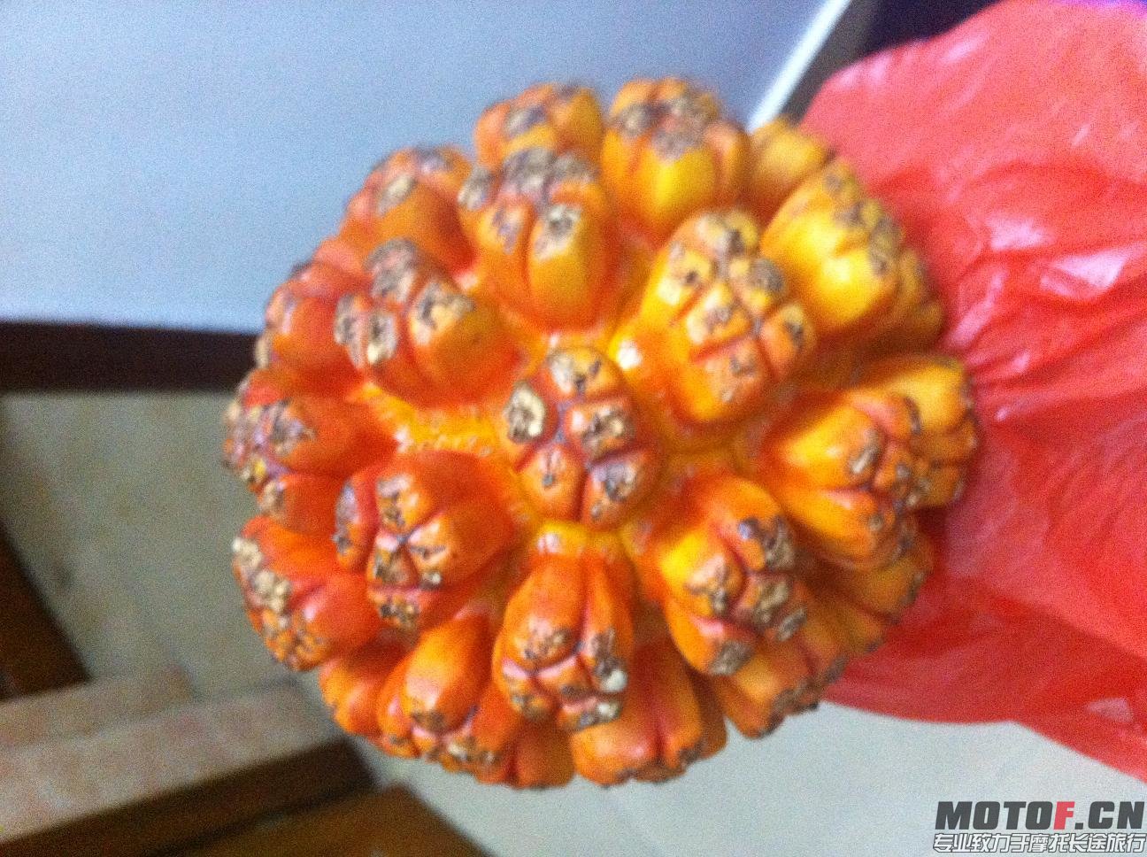 不知名的水果，卖家说是煲凉茶那样放点冰糖煲就可以了