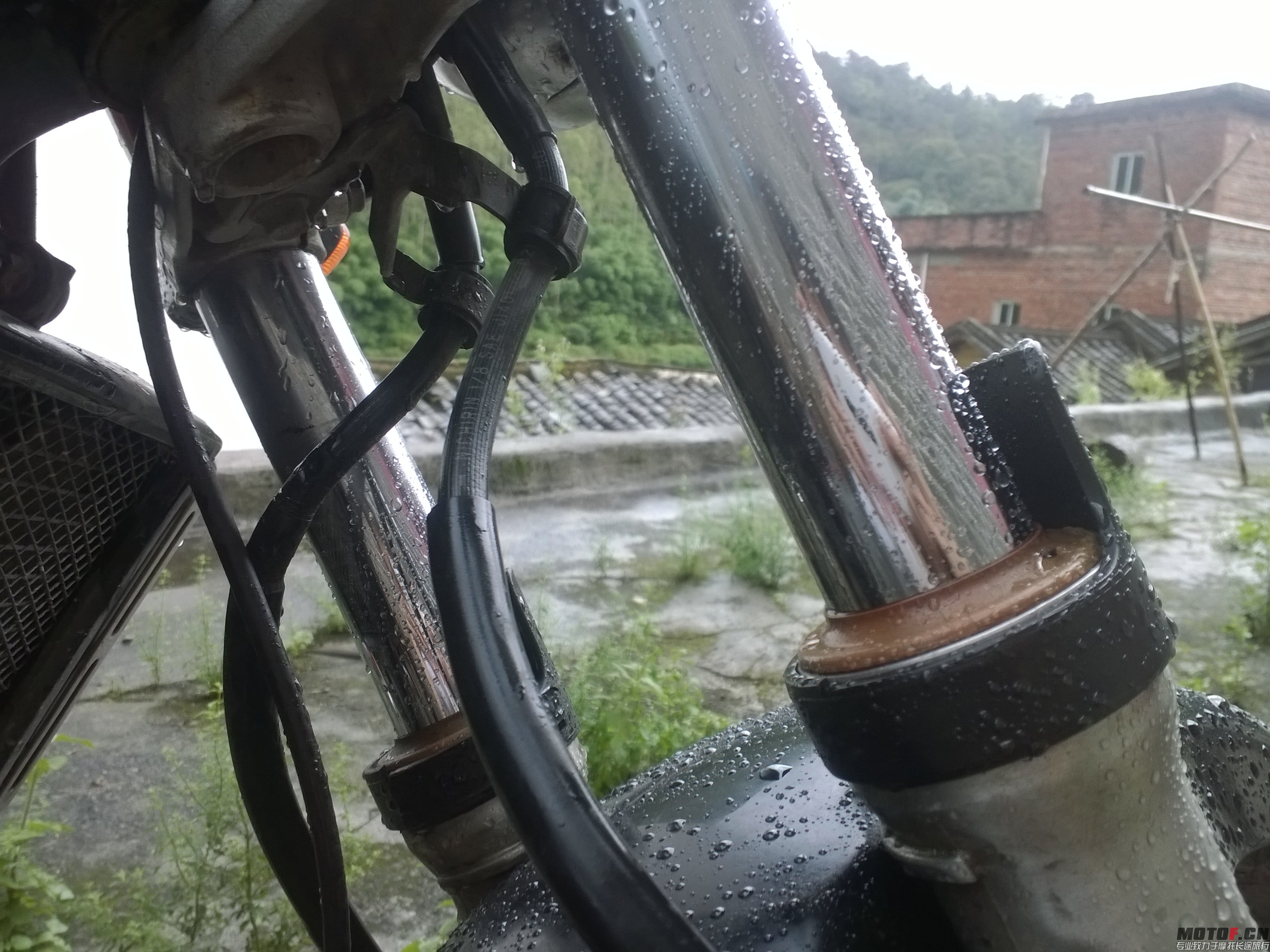 MediaLib_Camera Roll_WP_20140621_009.jpg