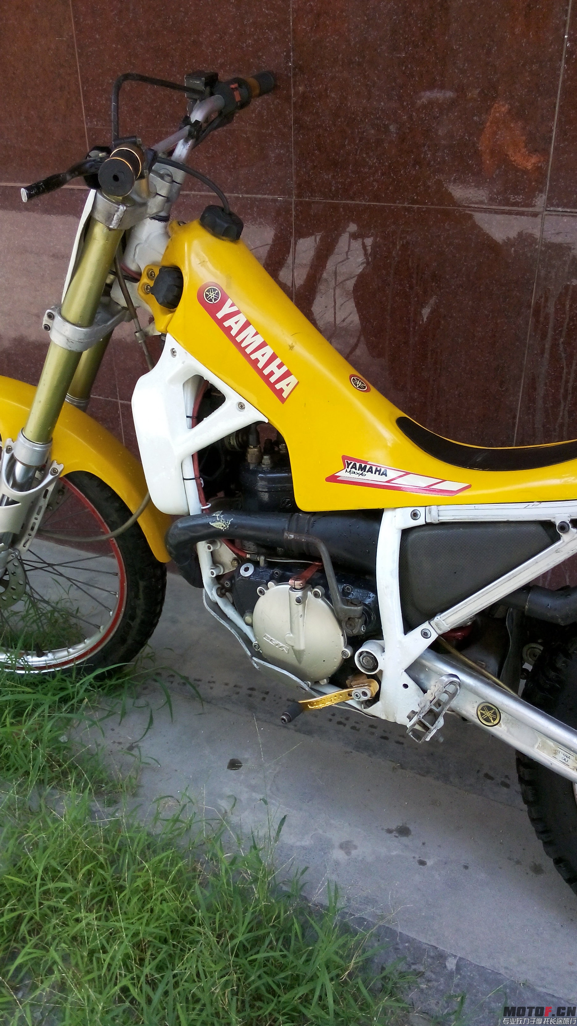 IMG_20140707_113841.jpg