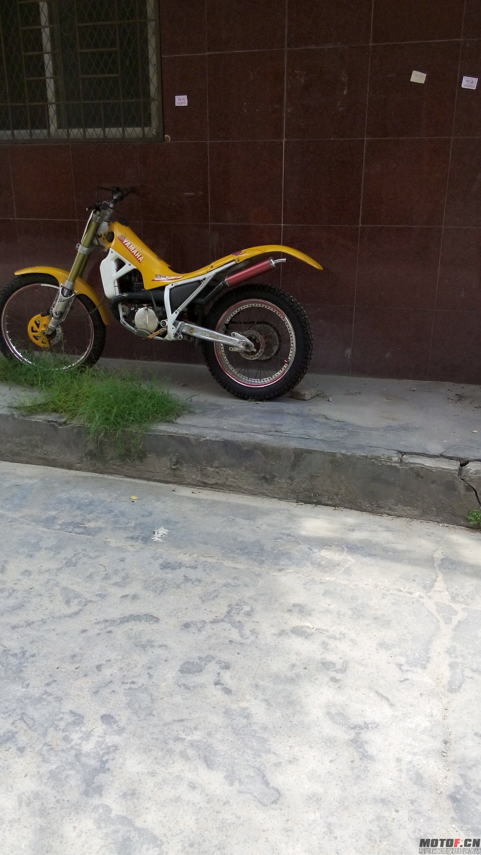 IMG_20140707_114625.jpg